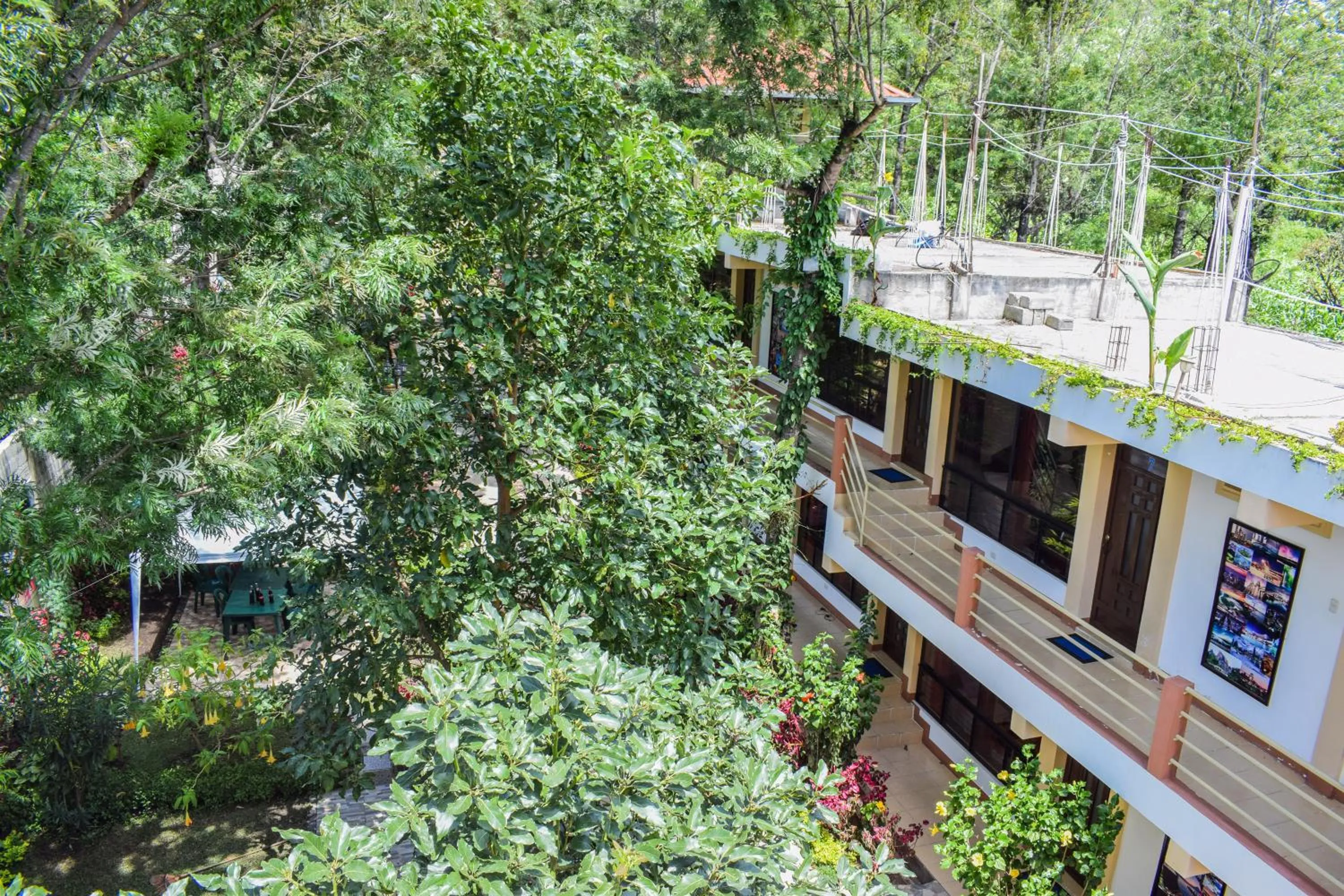 Decorative detail in Pescador Hotel PH