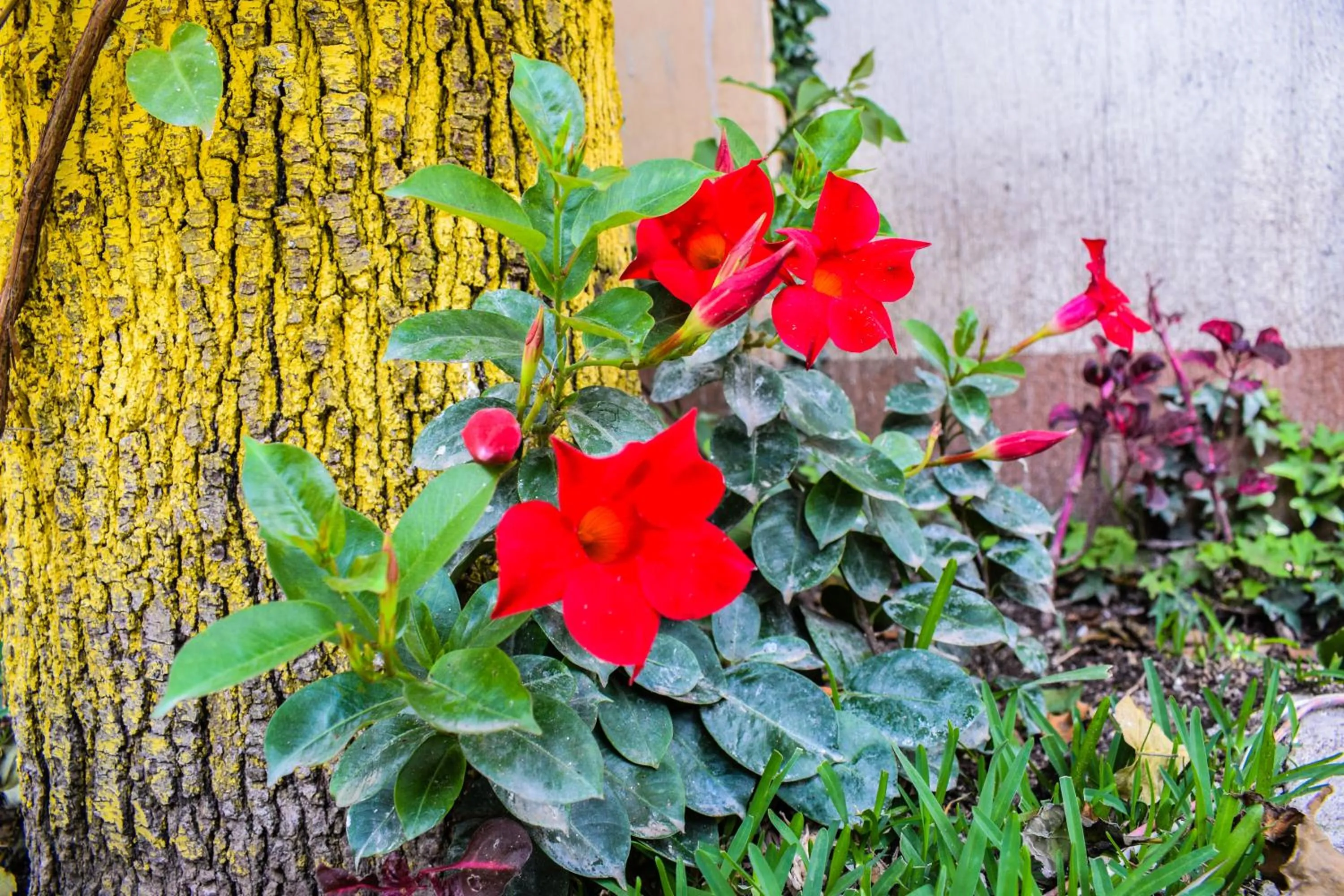 Decorative detail in Pescador Hotel PH