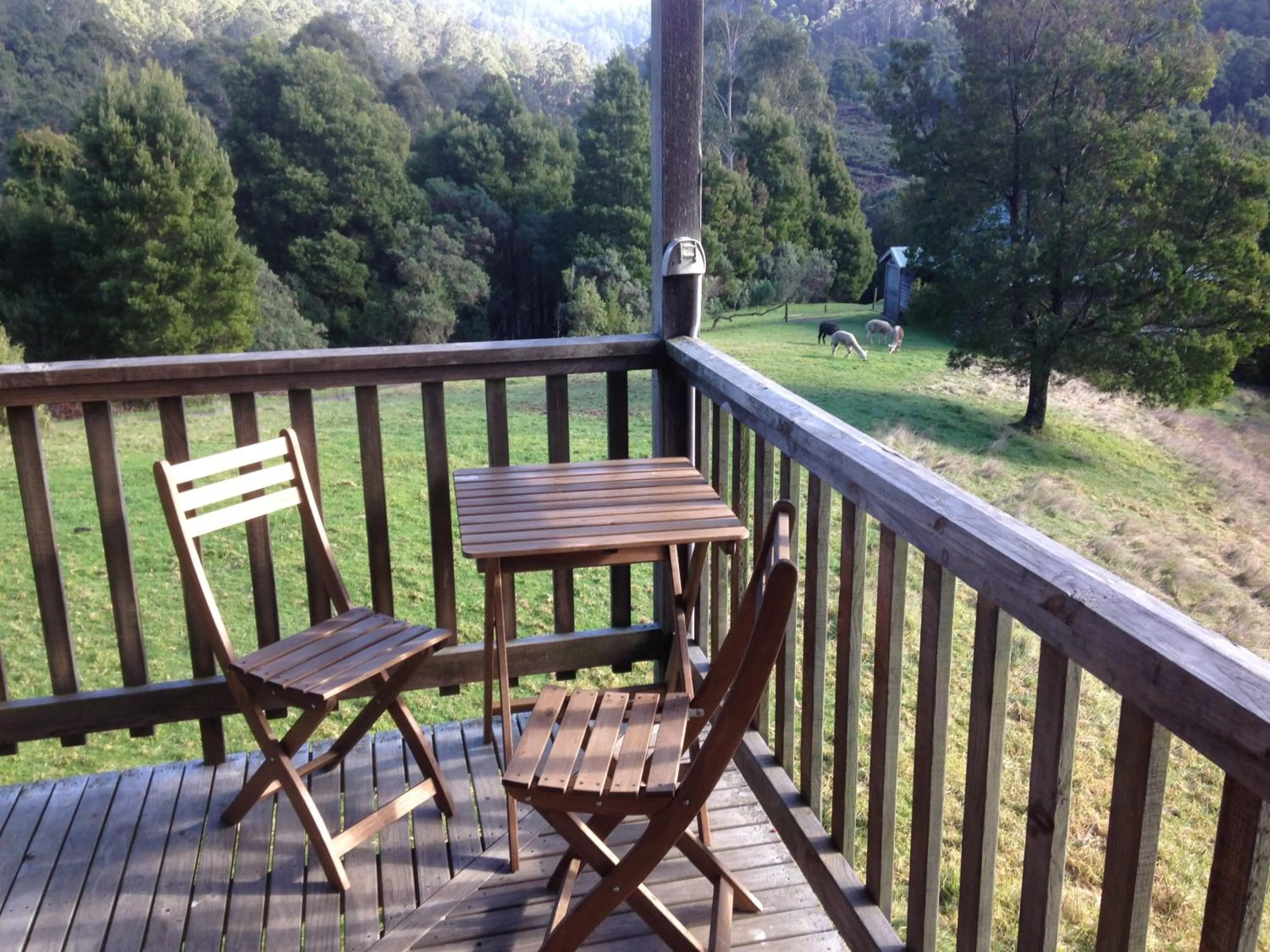 BBQ facilities in Tall Trees Eco Retreat - Blackwood Cottage