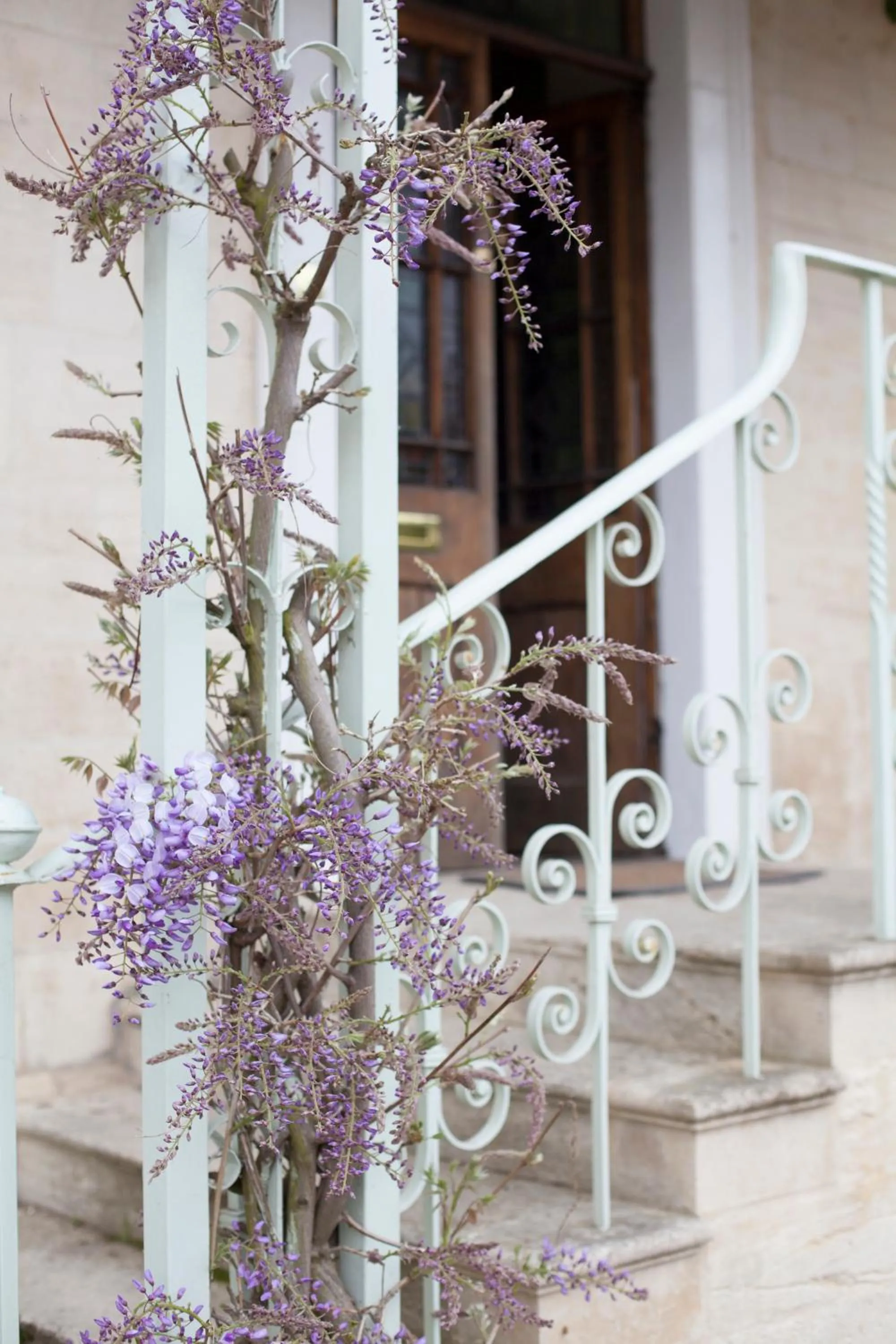 On site in Grigshot Apartment