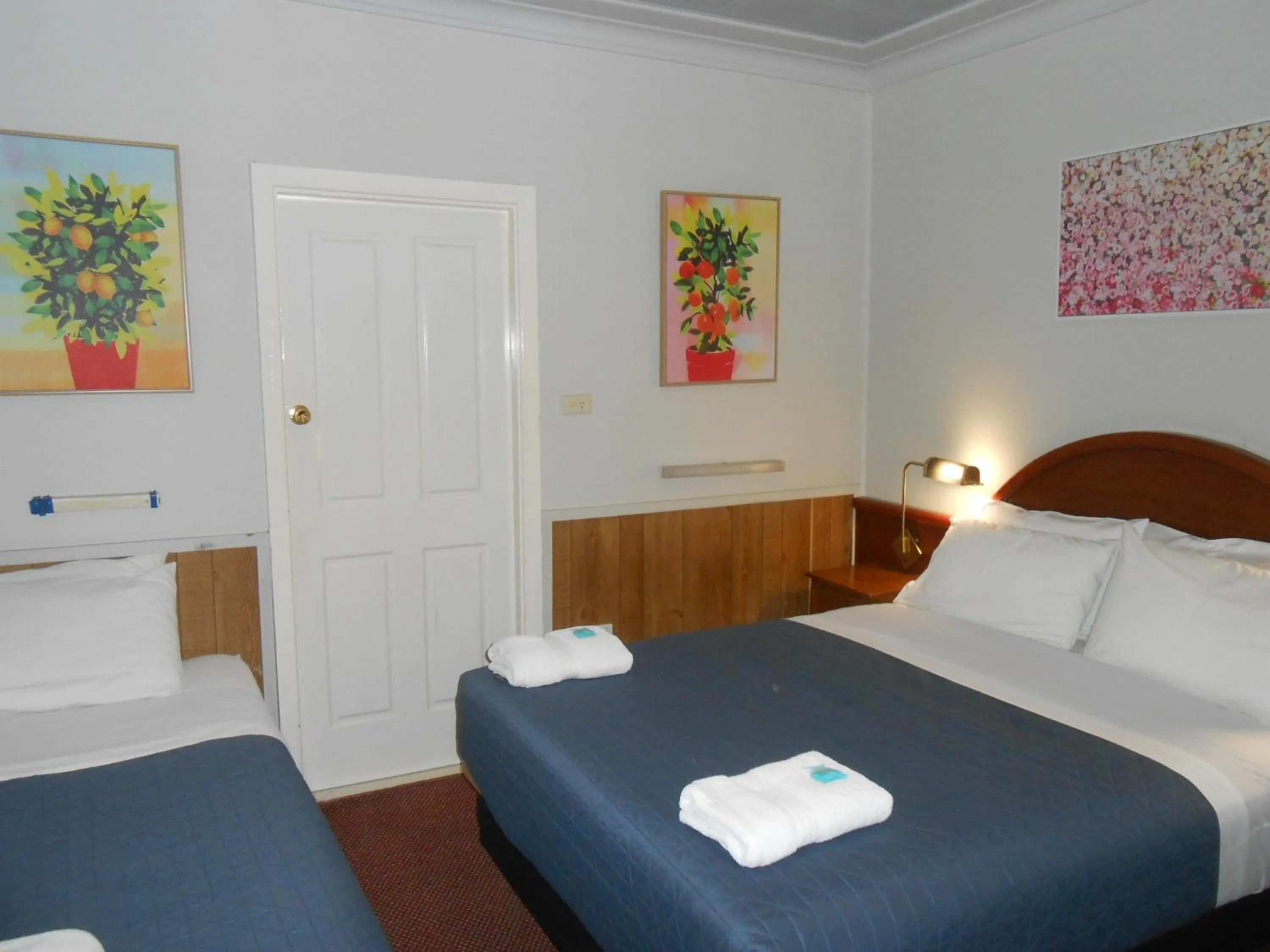 Bed in Mount View Motel