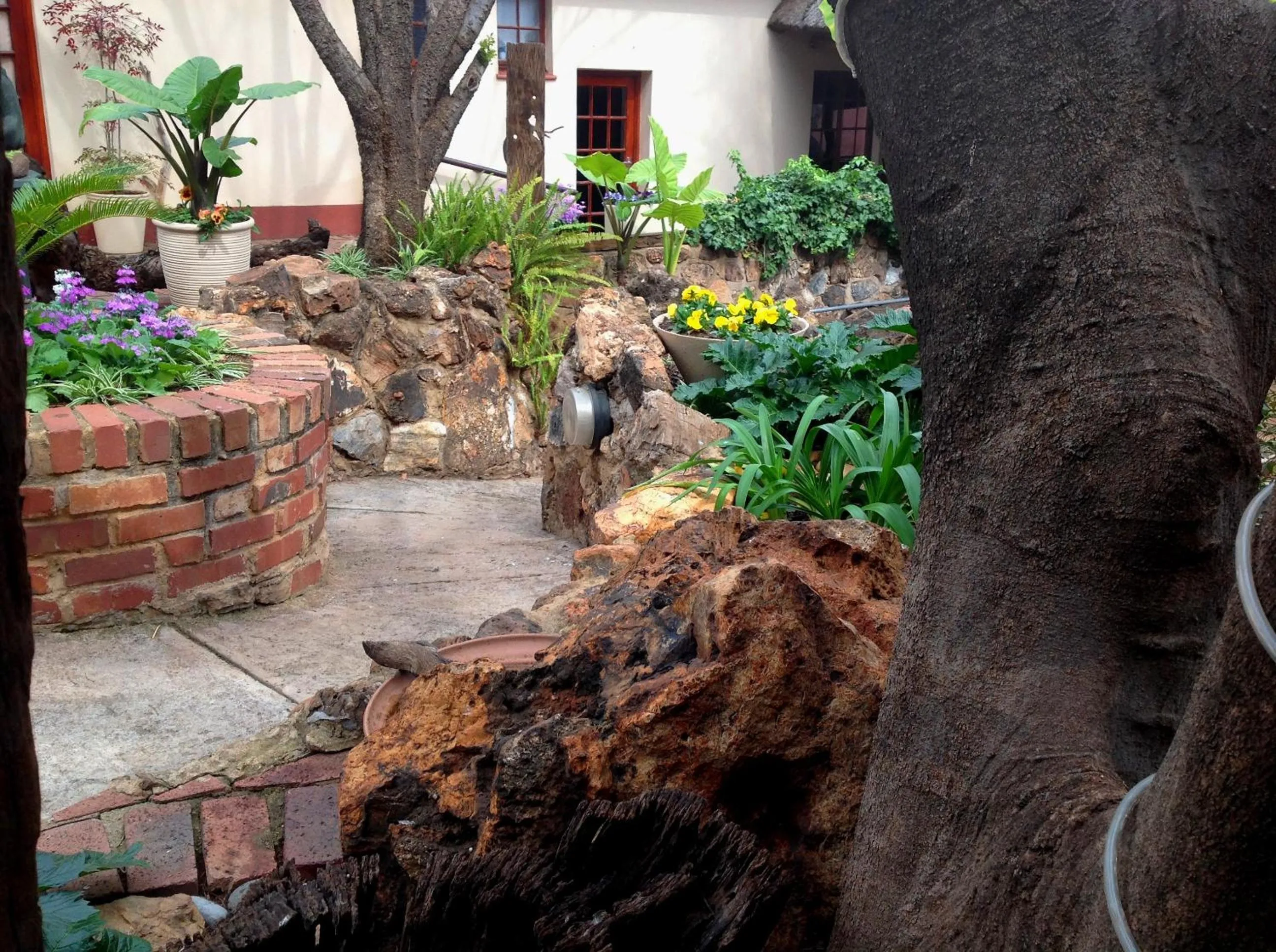 Garden in Centurion Guest House and Lodge