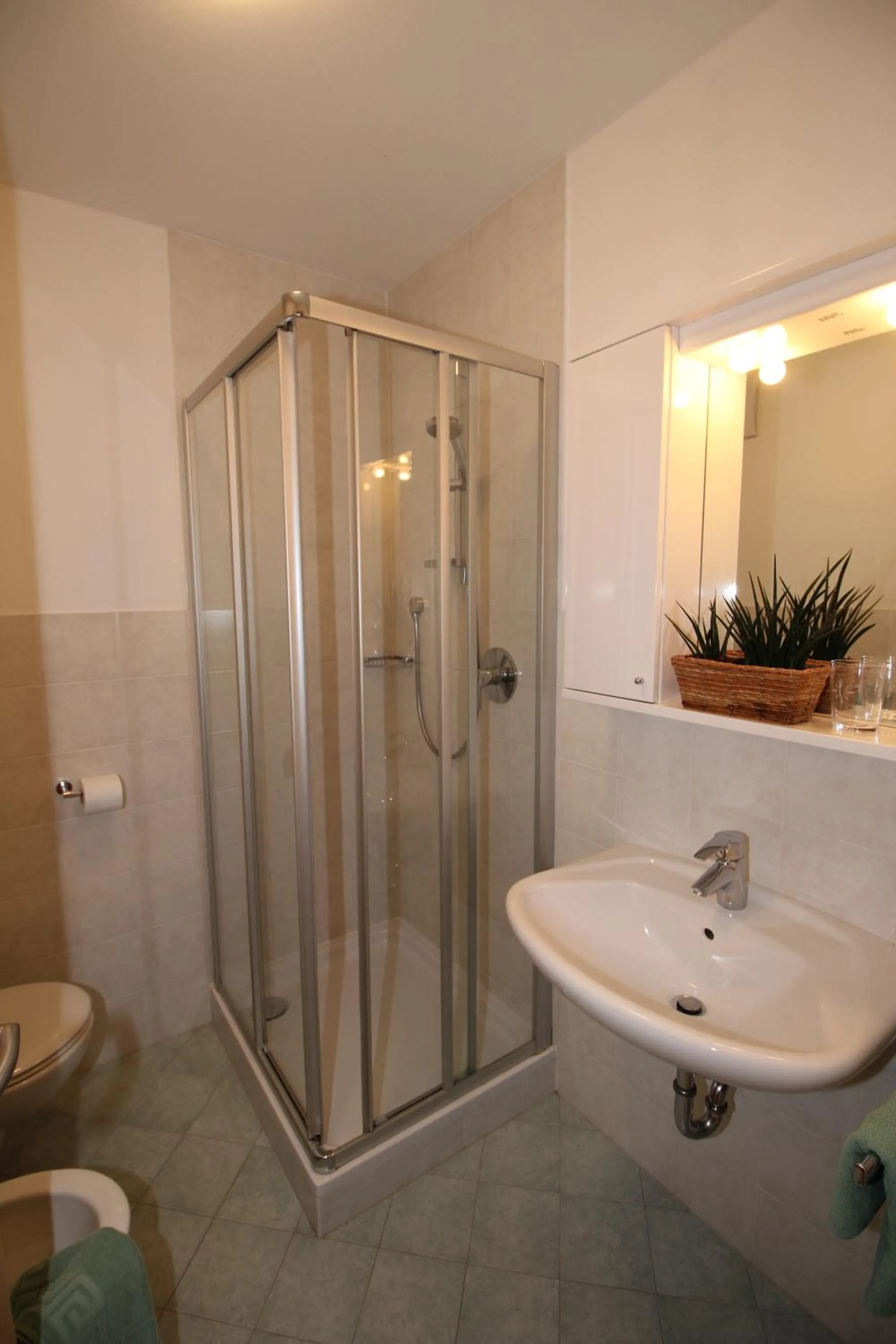 Bathroom in Apartments Im Winkl