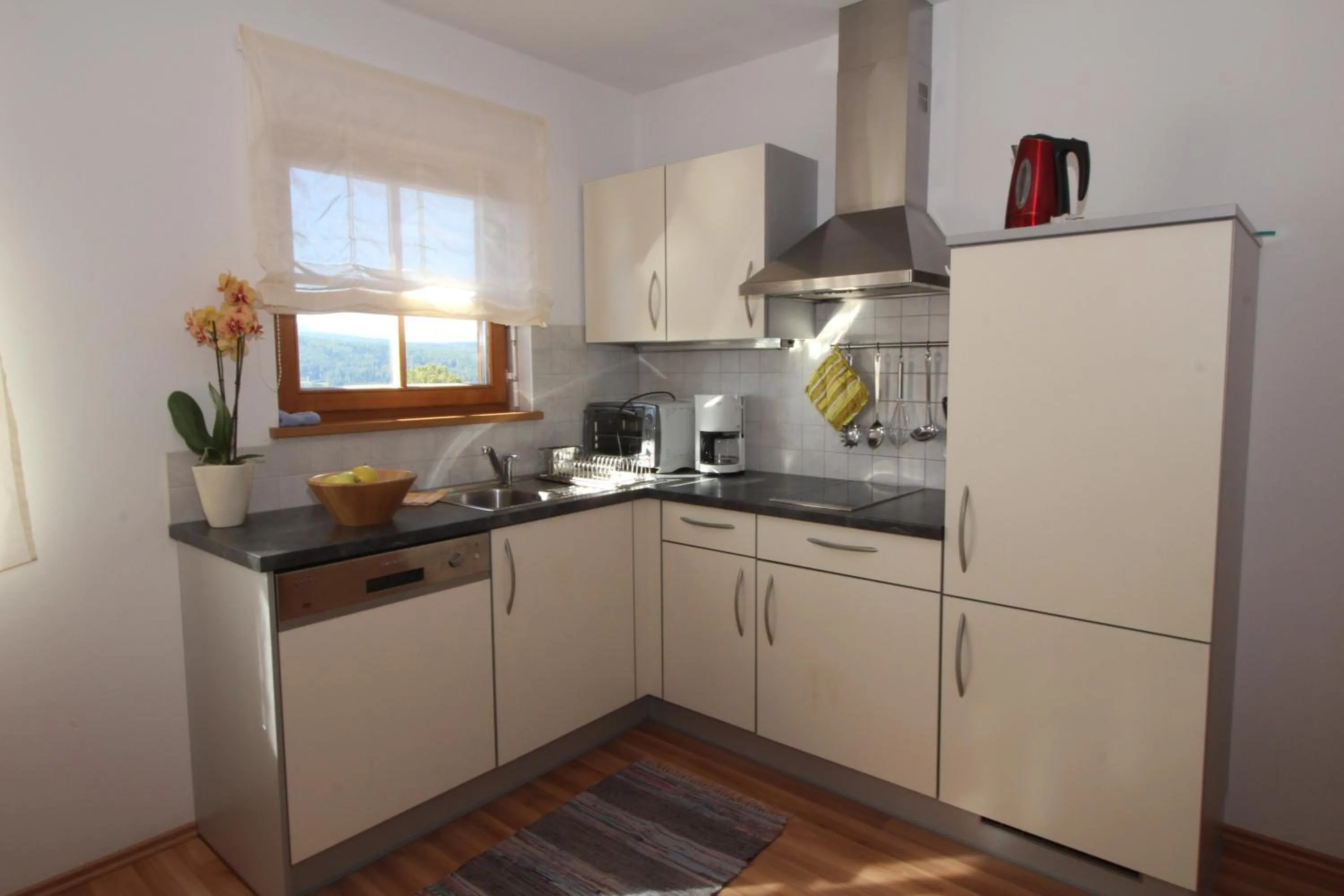 Kitchen or kitchenette in Apartments Im Winkl