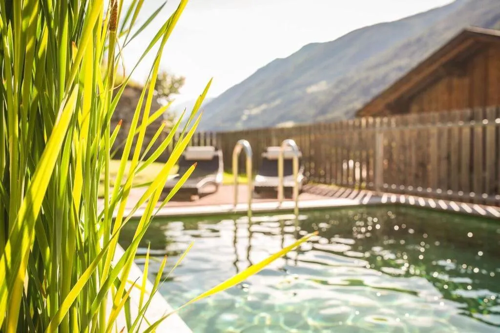 Swimming pool in XL Appartements Steinhaus