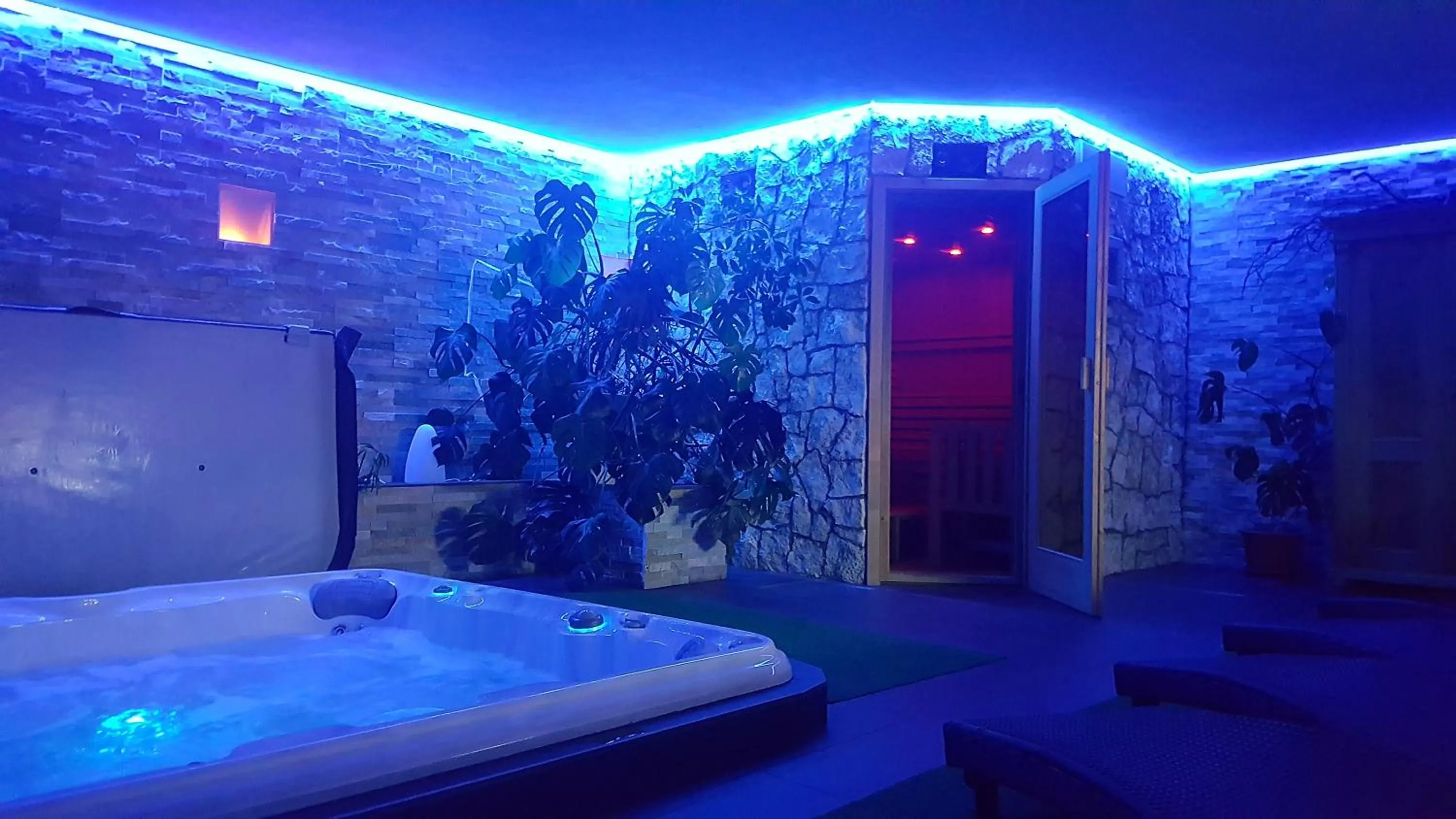 Hot Tub in XL Appartements Steinhaus