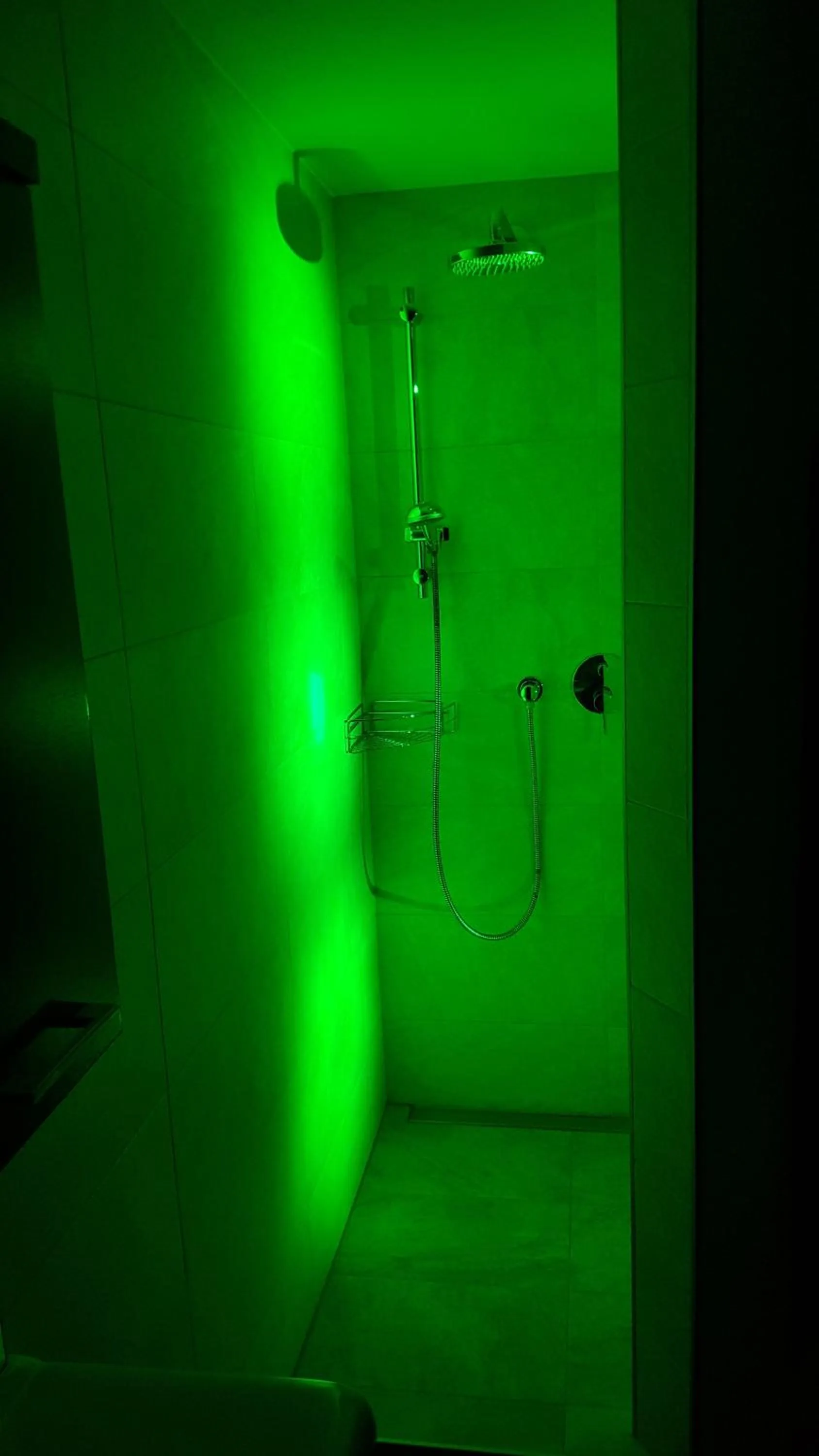 Shower in XL Appartements Steinhaus