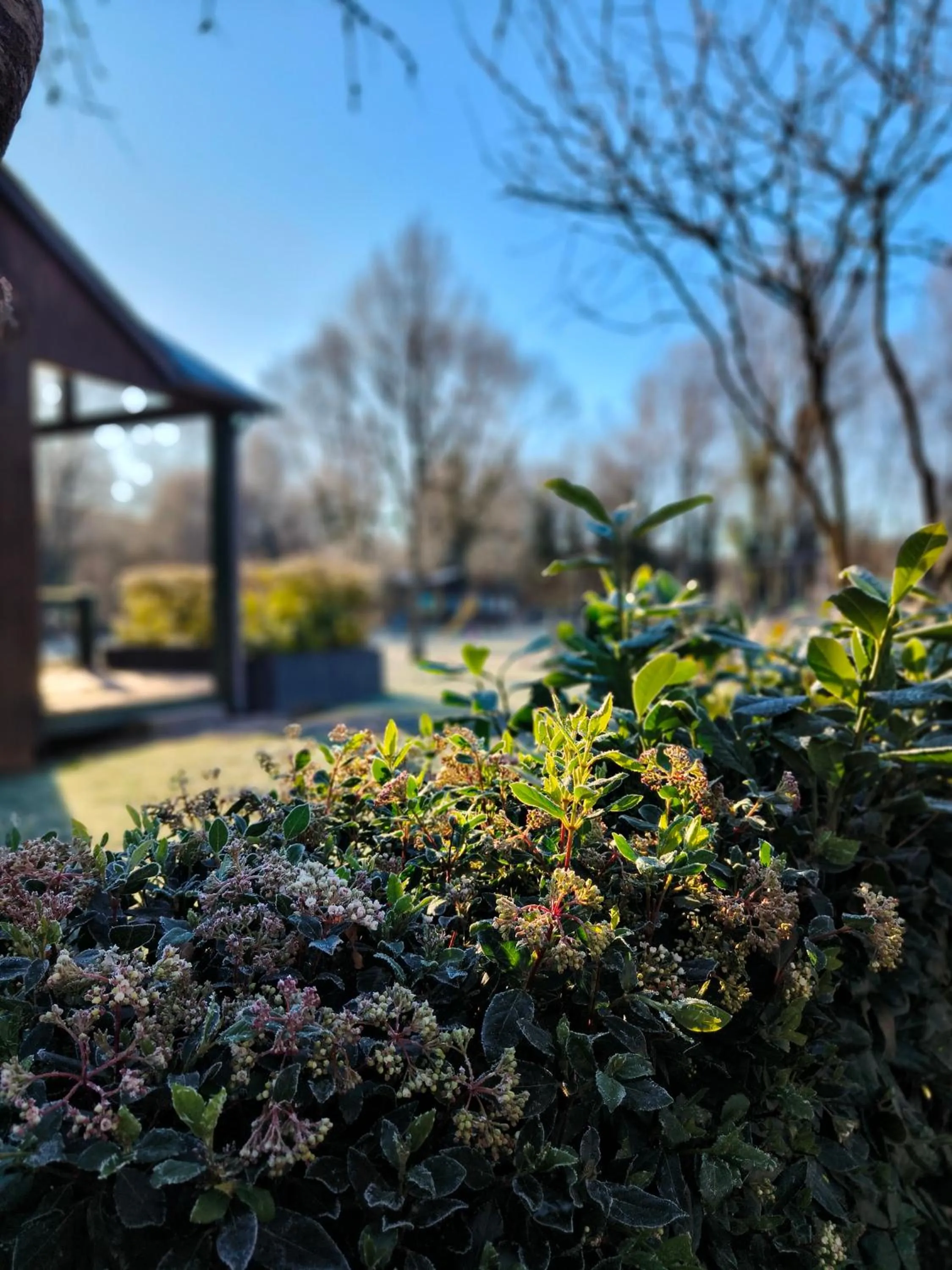 Garden view in Chalets de la Colagne