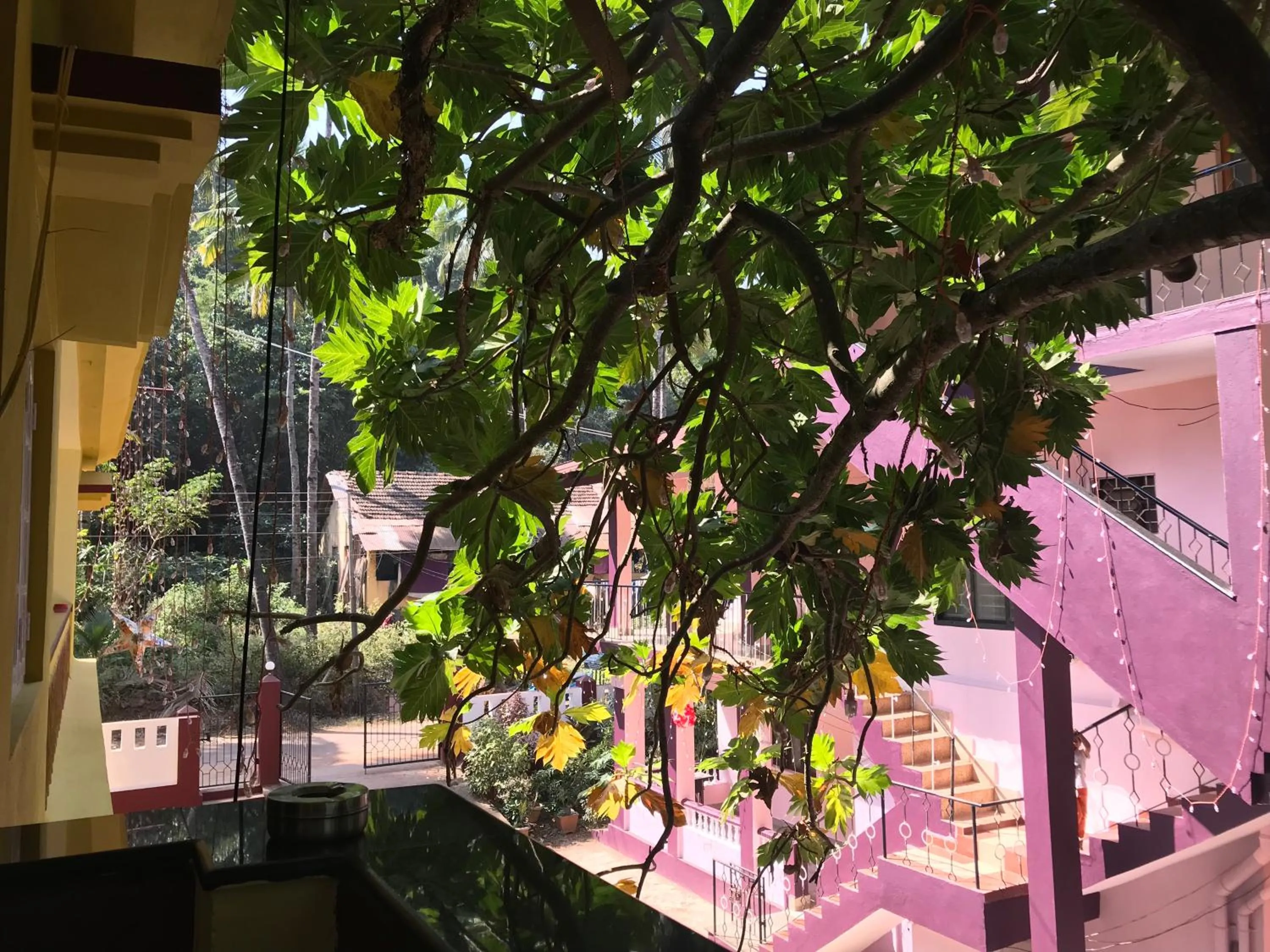 All Seasons Guest House