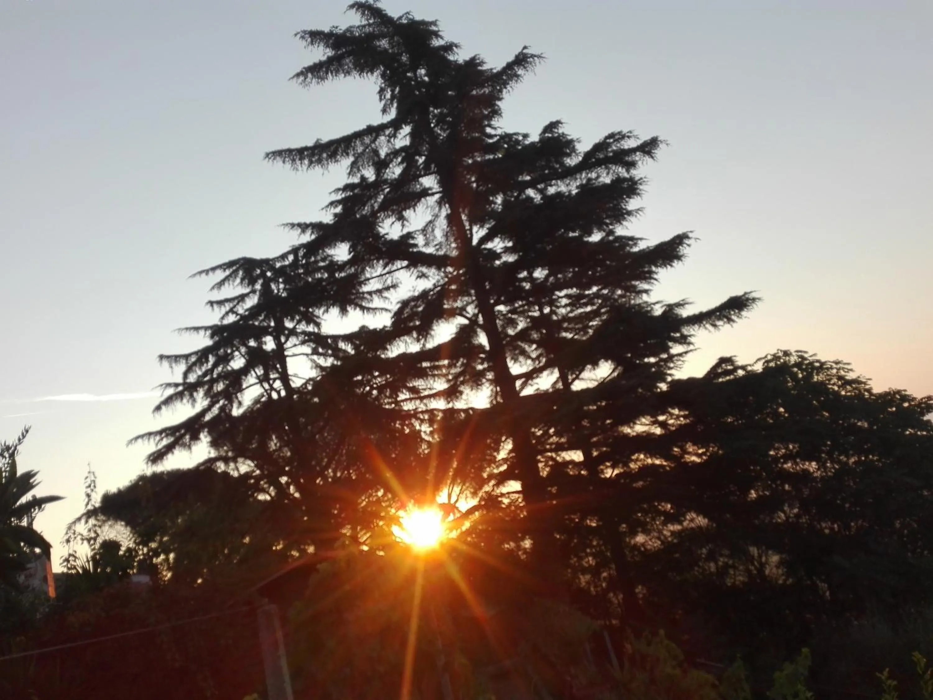 Garden view in A1 Girasole B&B