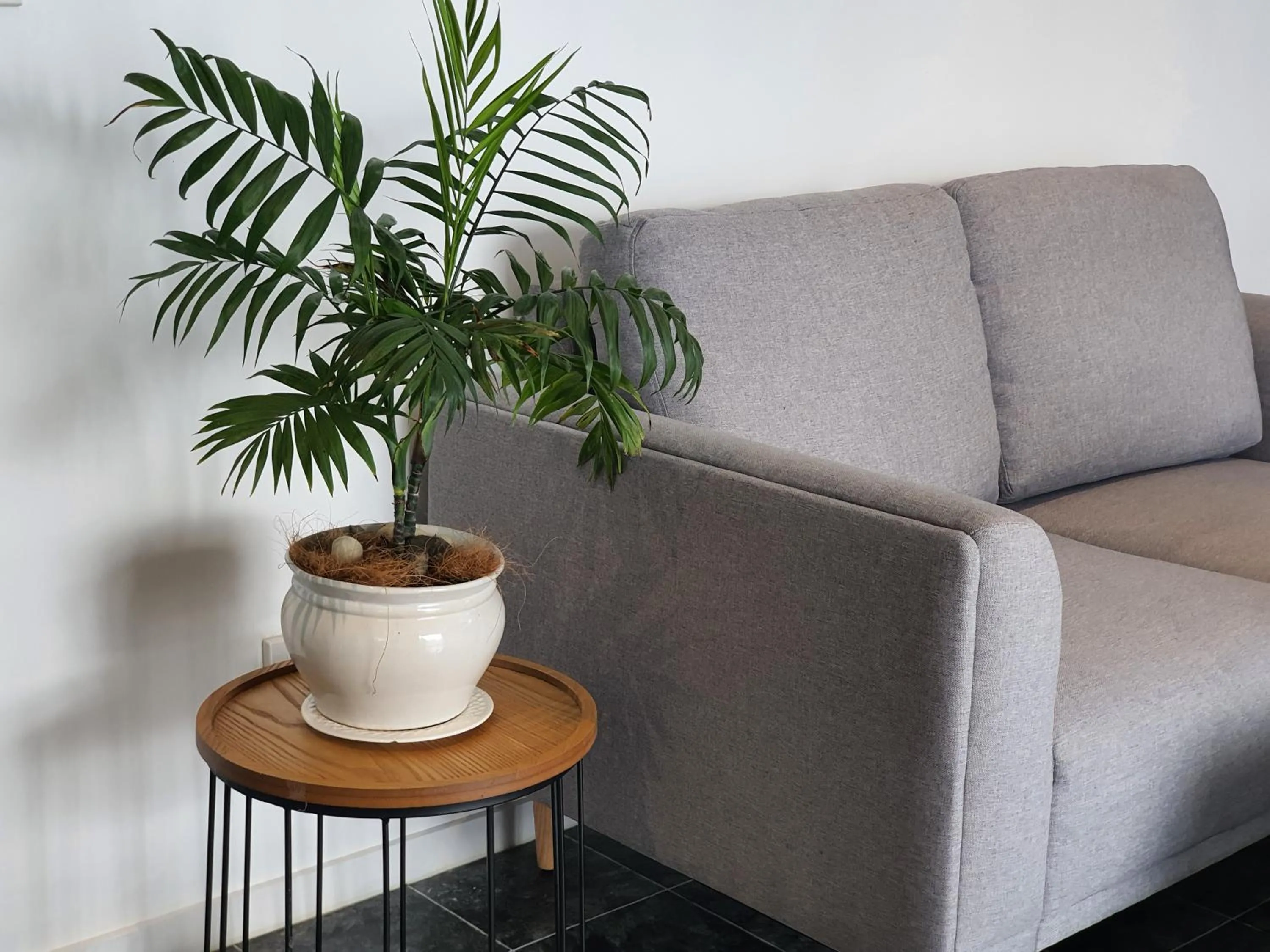 View (from property/room) in Alice House