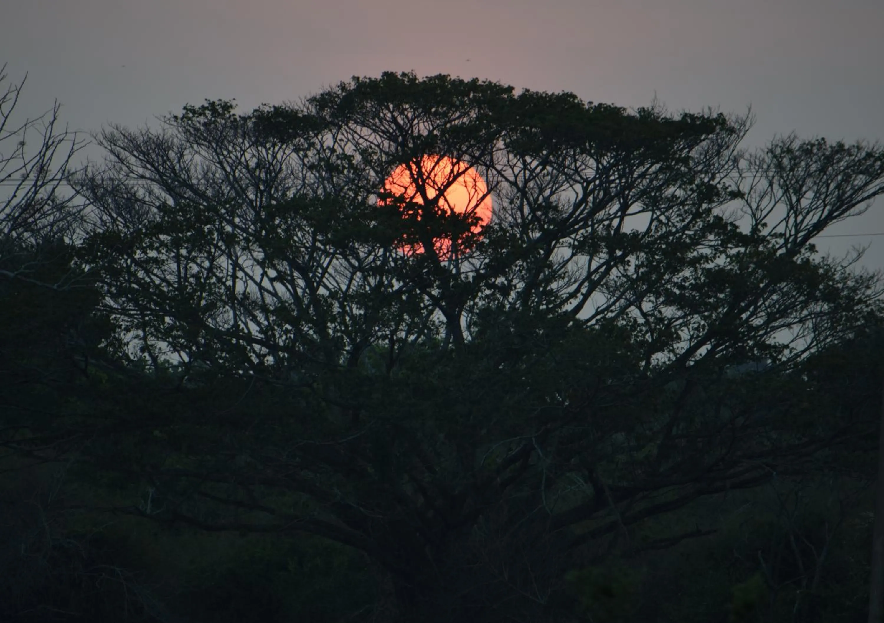 Natural landscape in Lavish Eco Jungle