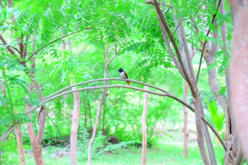 Property building in Lavish Eco Jungle