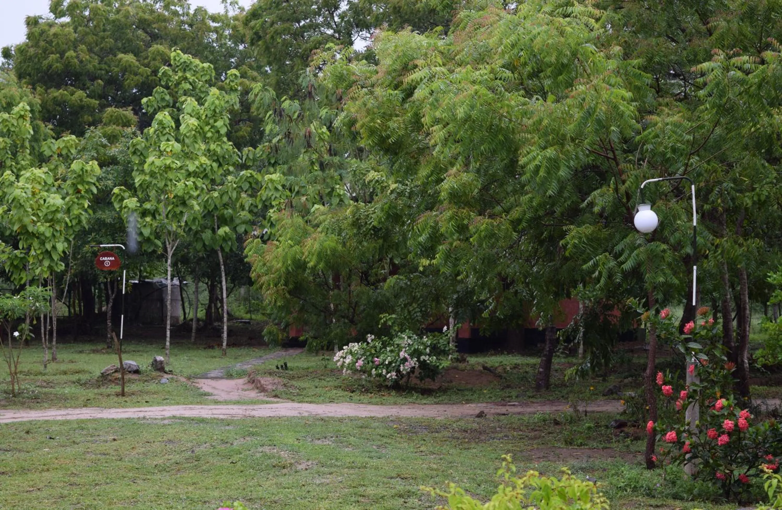 Garden in Lavish Eco Jungle