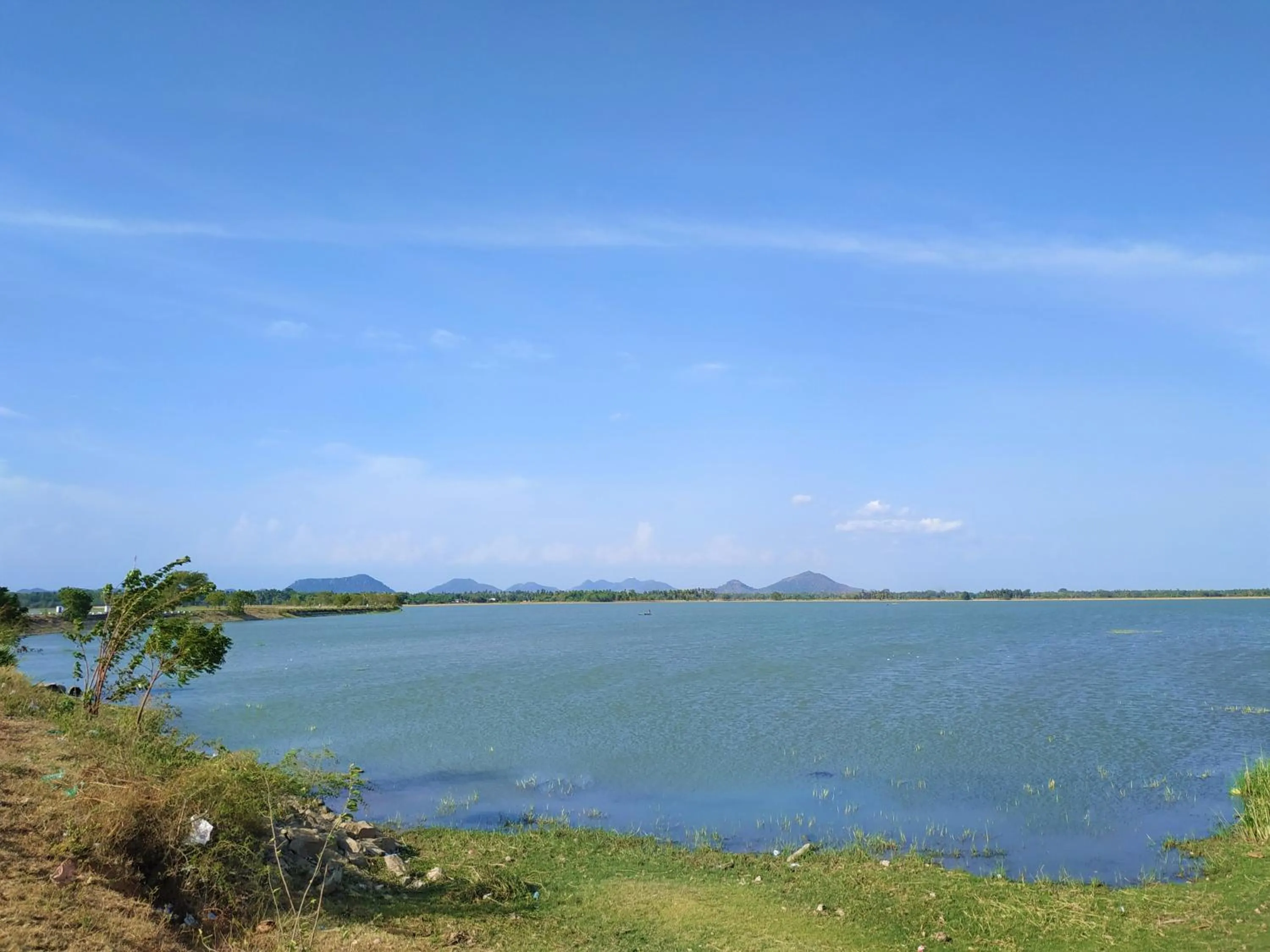 Natural landscape in Lavish Eco Jungle