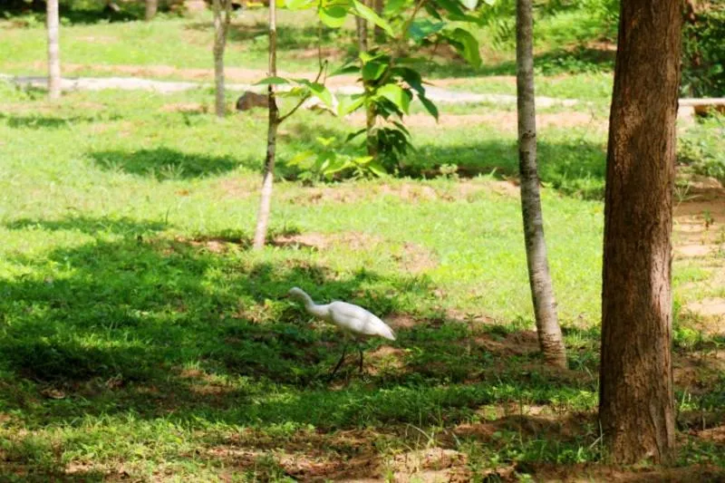 Property building in Lavish Eco Jungle