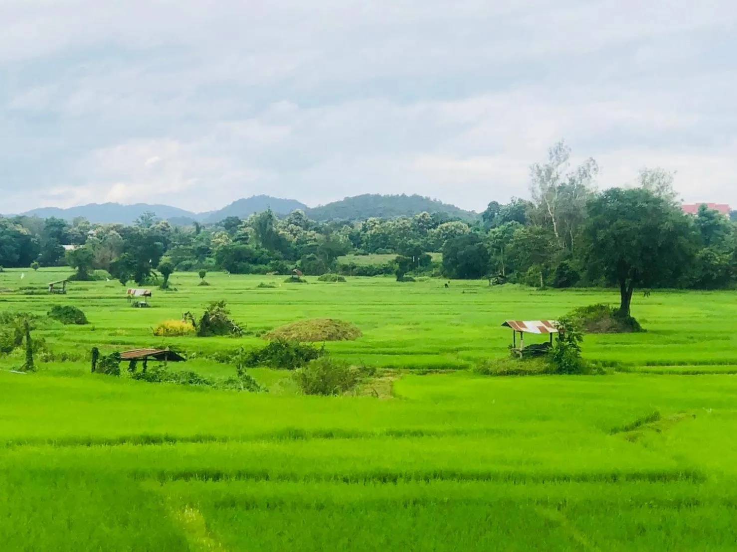 Natural landscape in NanSripanna resort