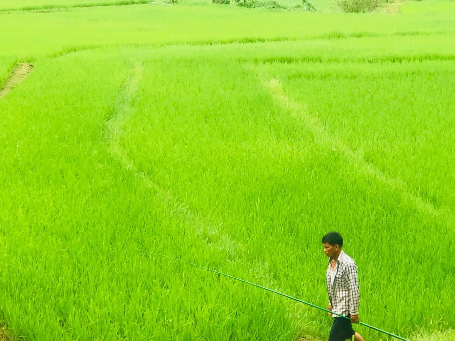 View (from property/room) in NanSripanna resort