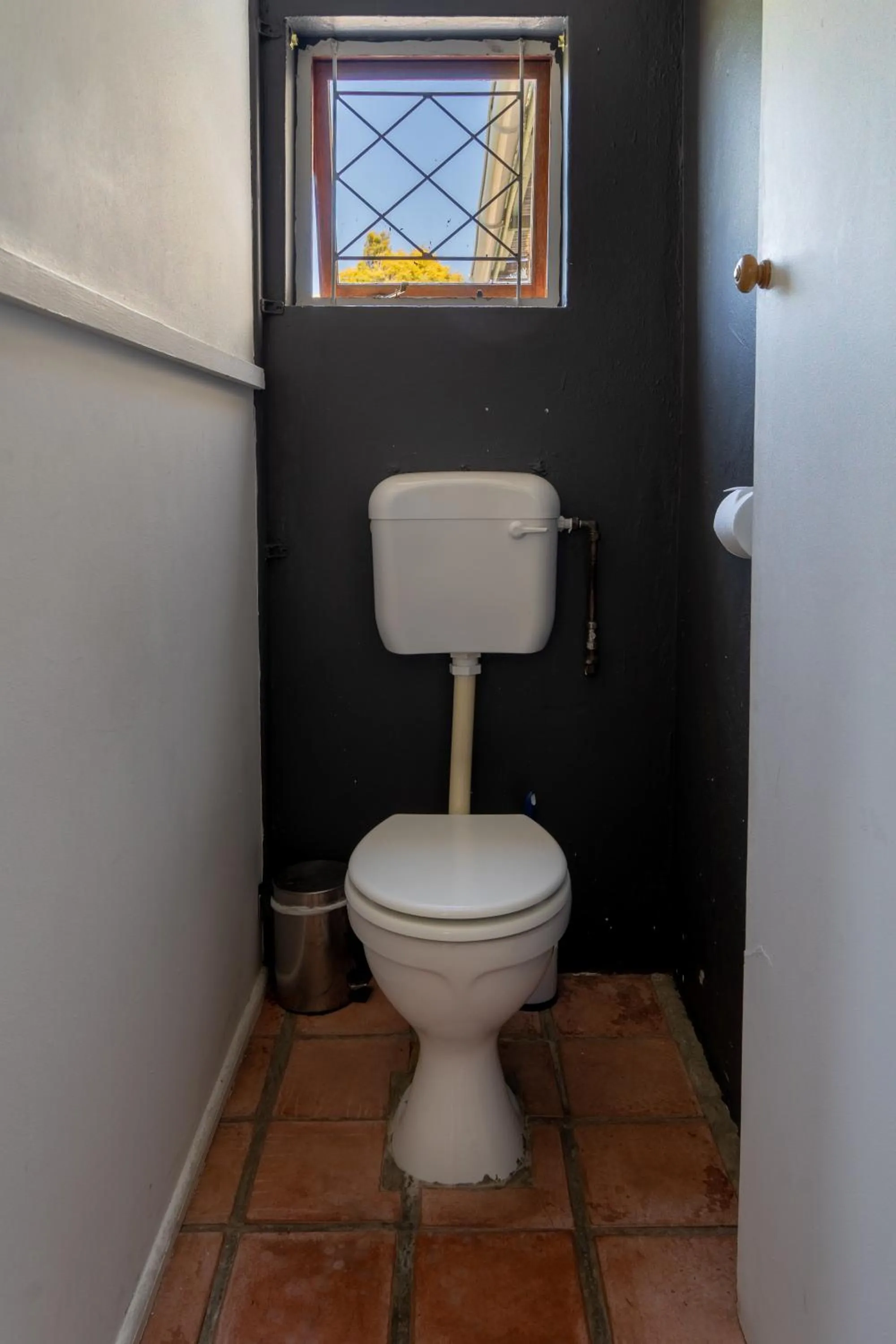 Toilet in Selborne Bed and Breakfast