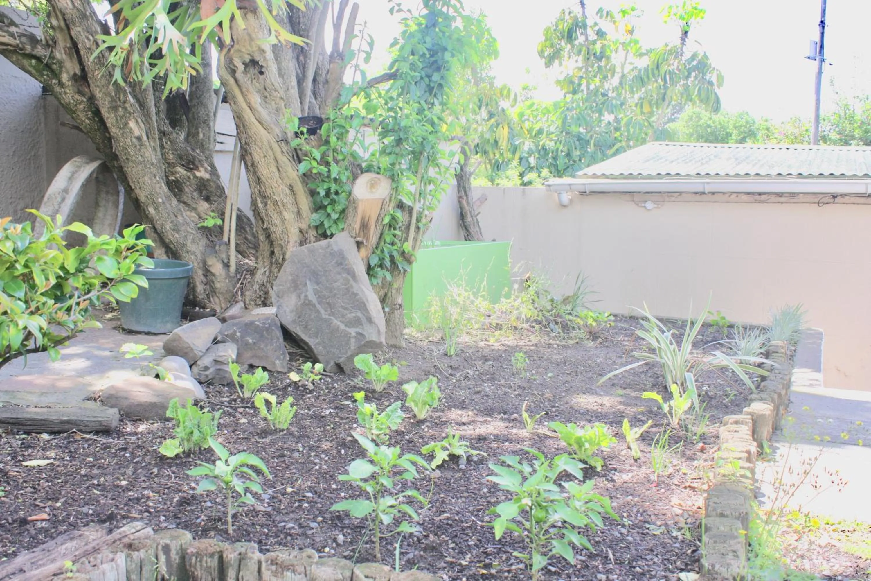 Garden view in Selborne Bed and Breakfast