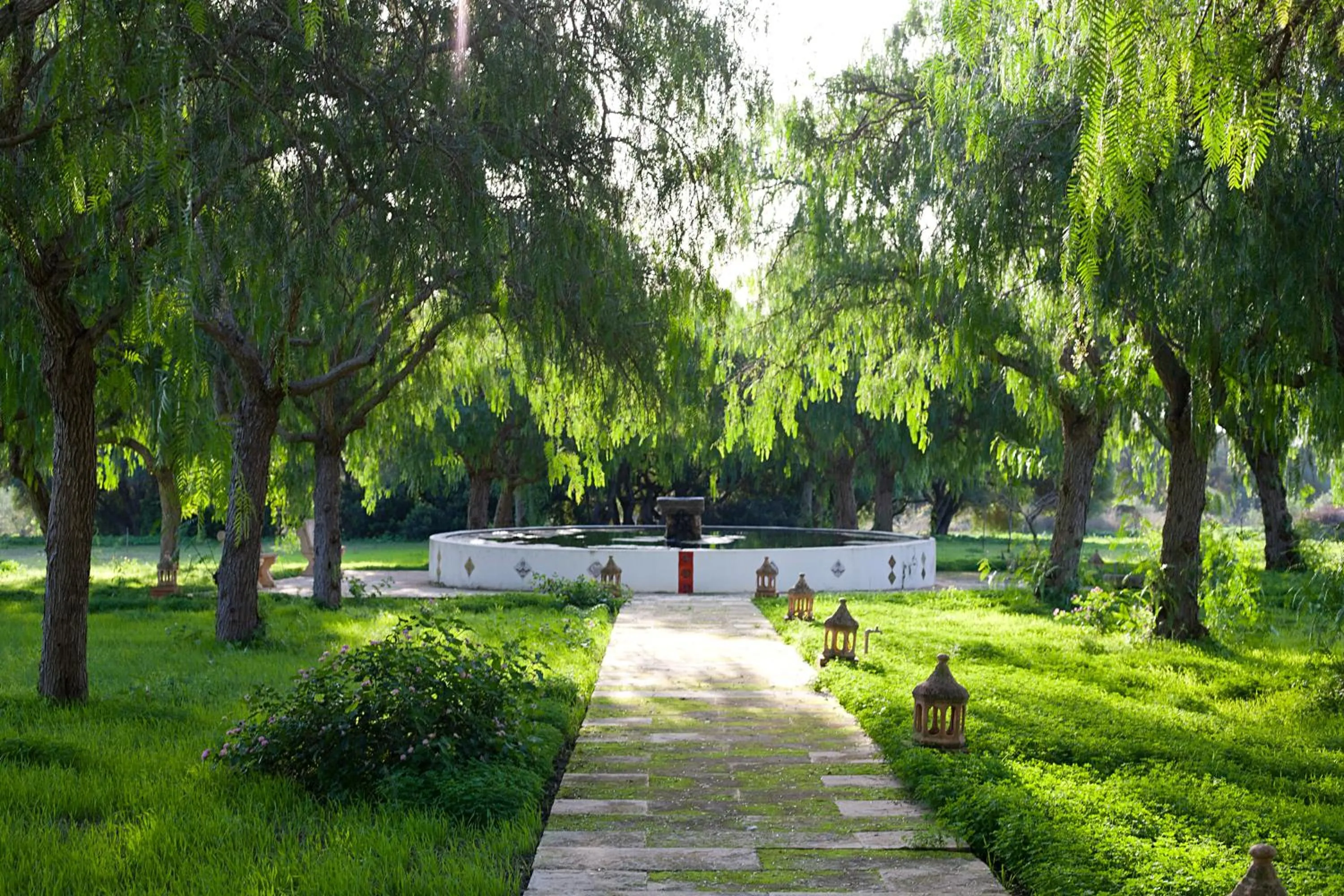 Garden in Agroturisme Ca'n Gaia