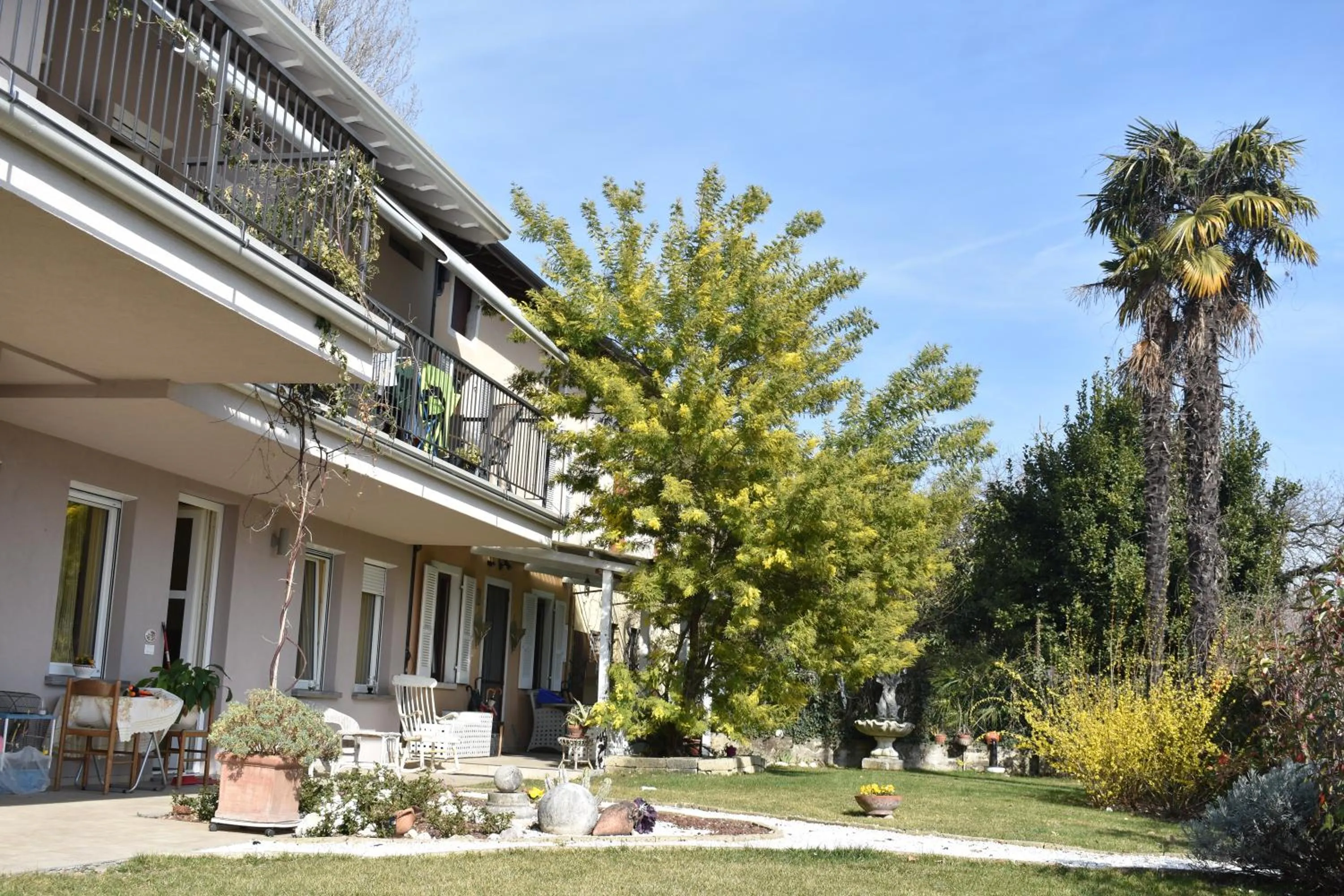 Garden in Mimosa Apartments