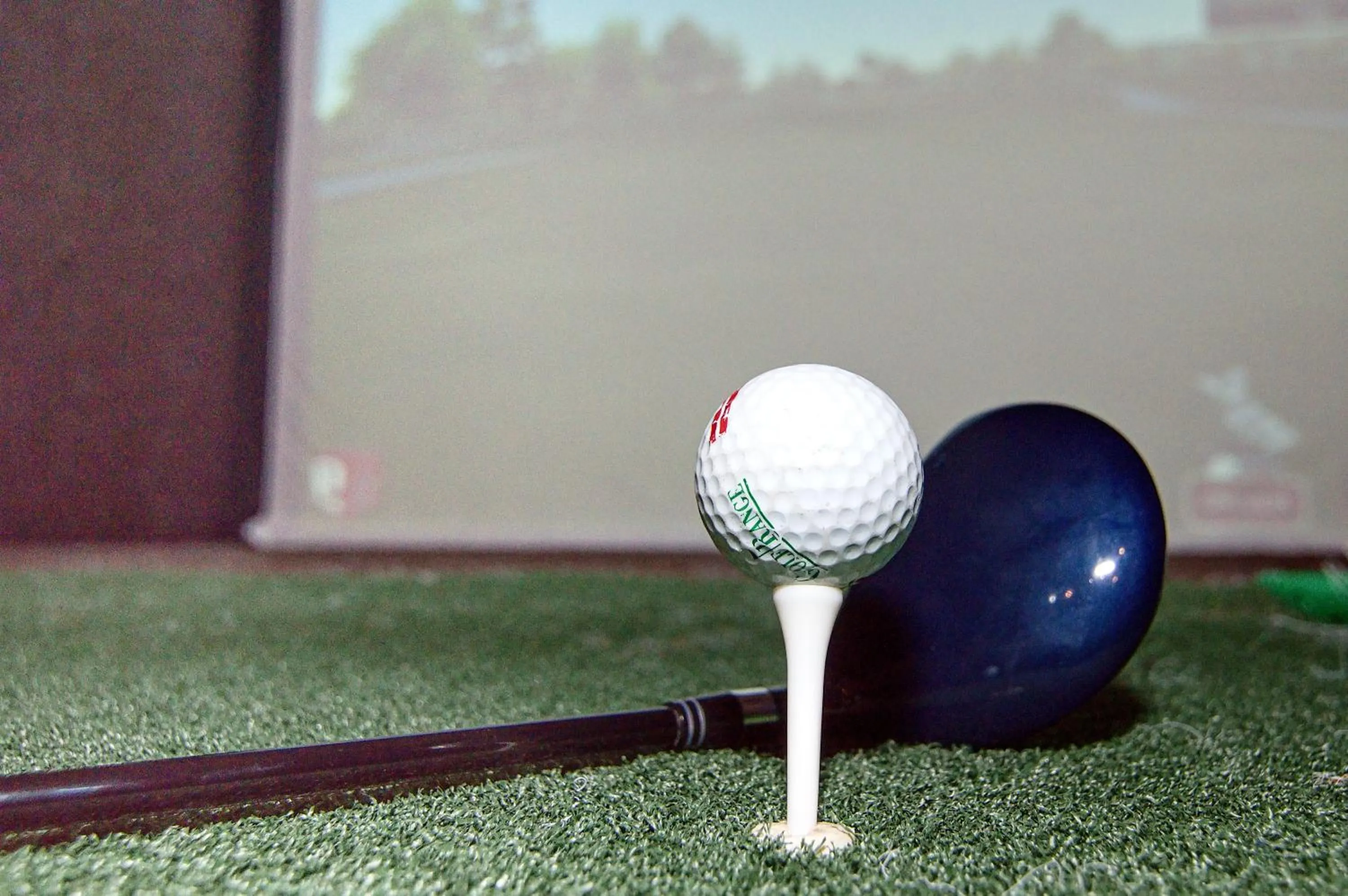 Hotel Srní a Depandance