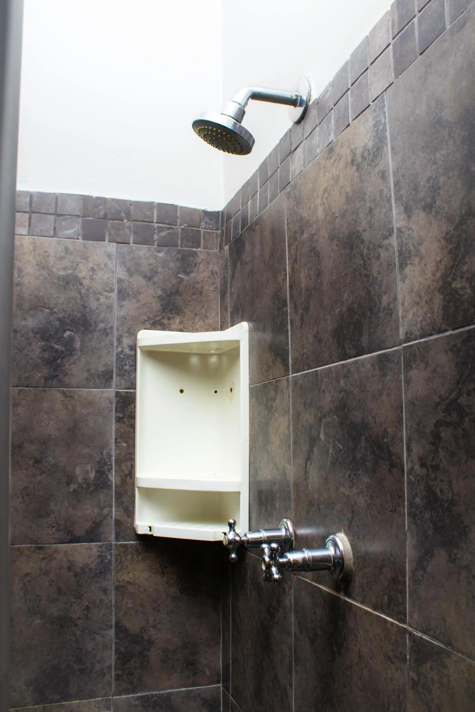 Shower in Beechwood B&B