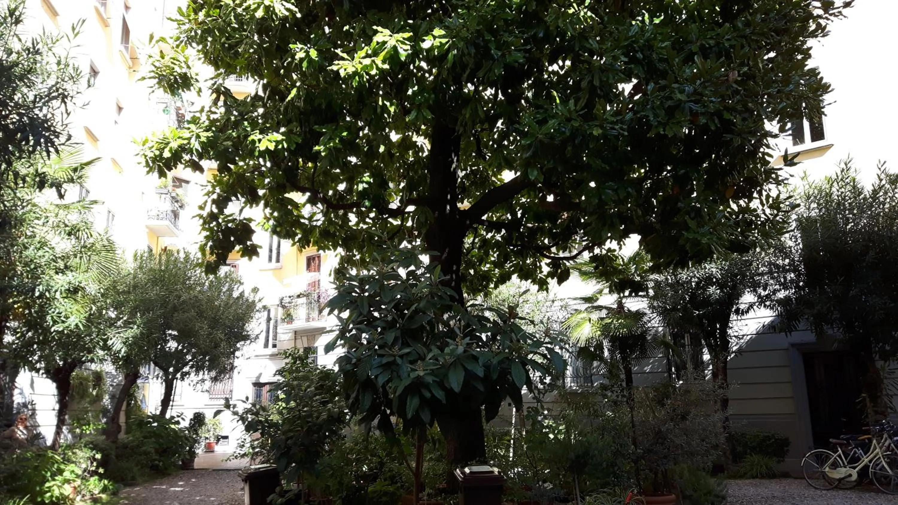 Garden in Bronzino House