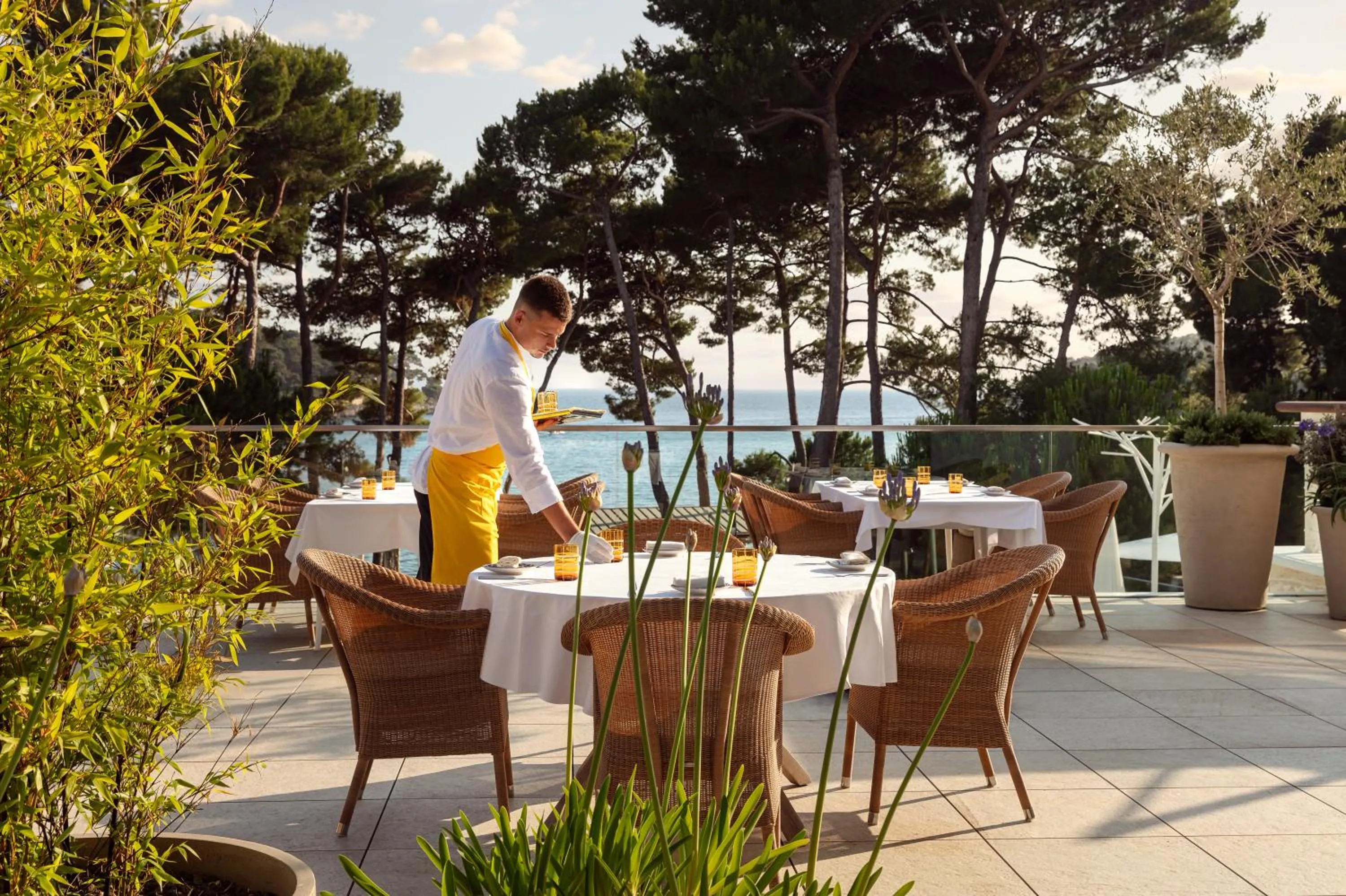 Restaurant/places to eat in Hotel Bellevue