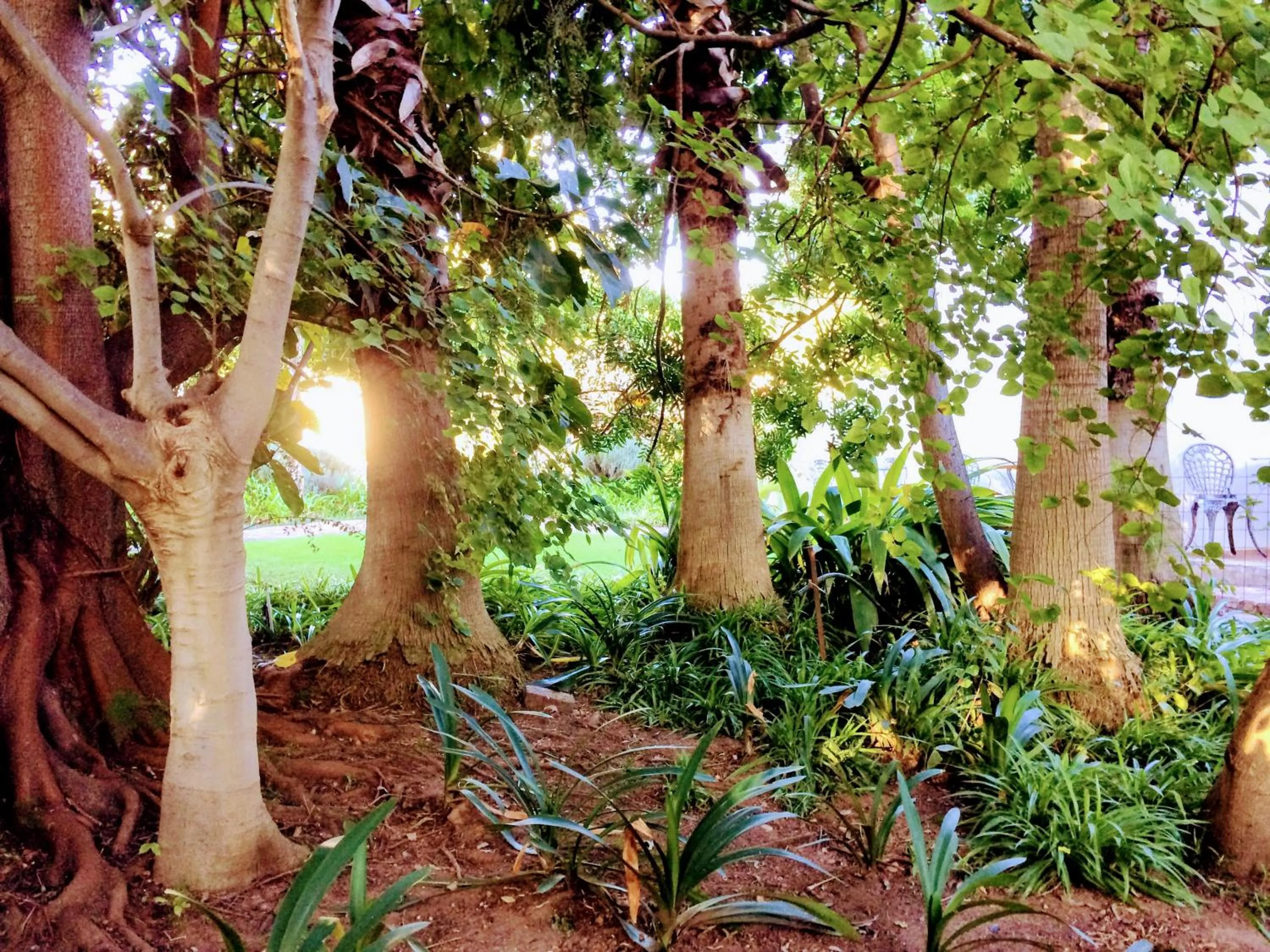 Property building in Polokwane Place