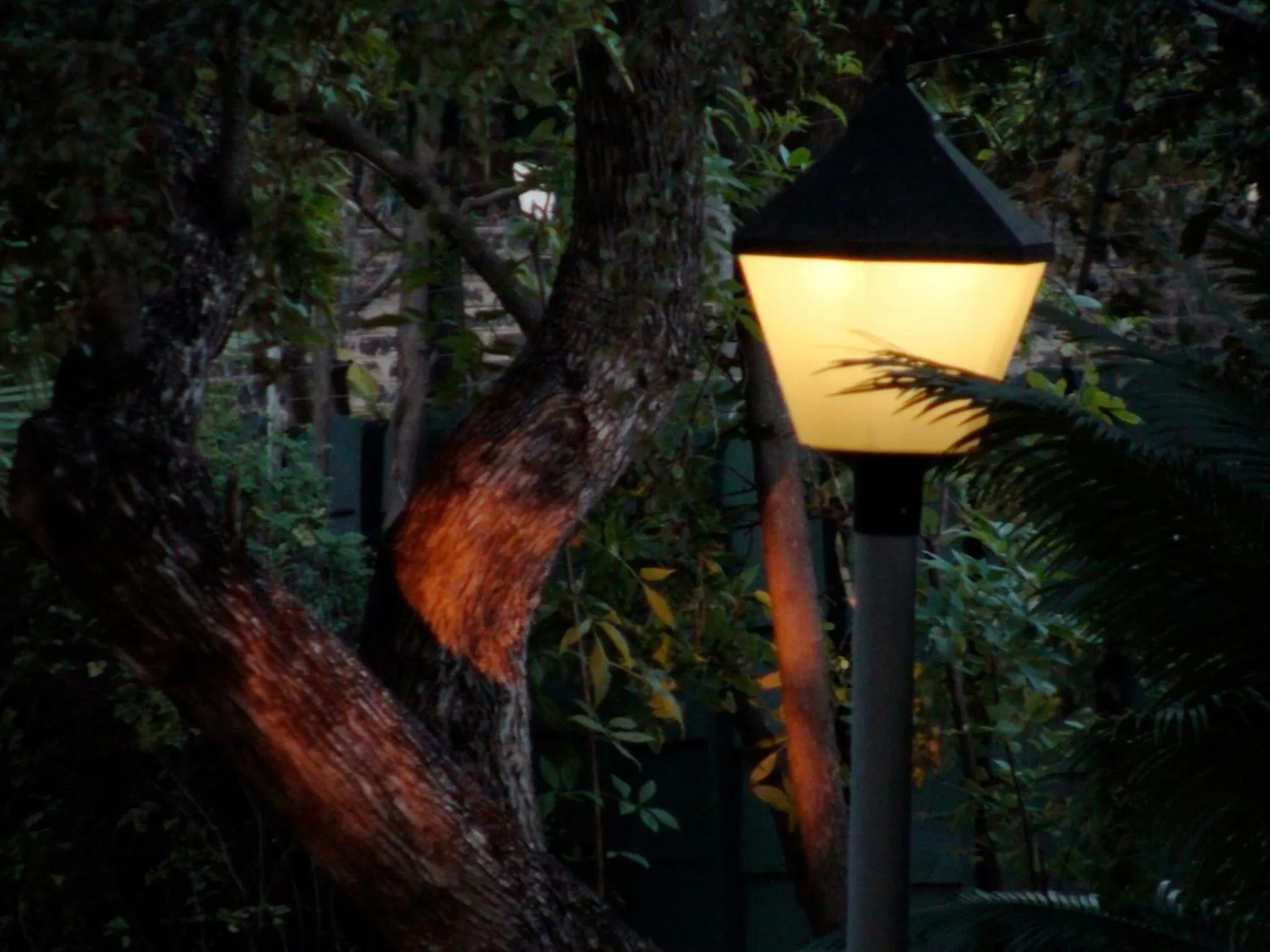 Garden view in Polokwane Place