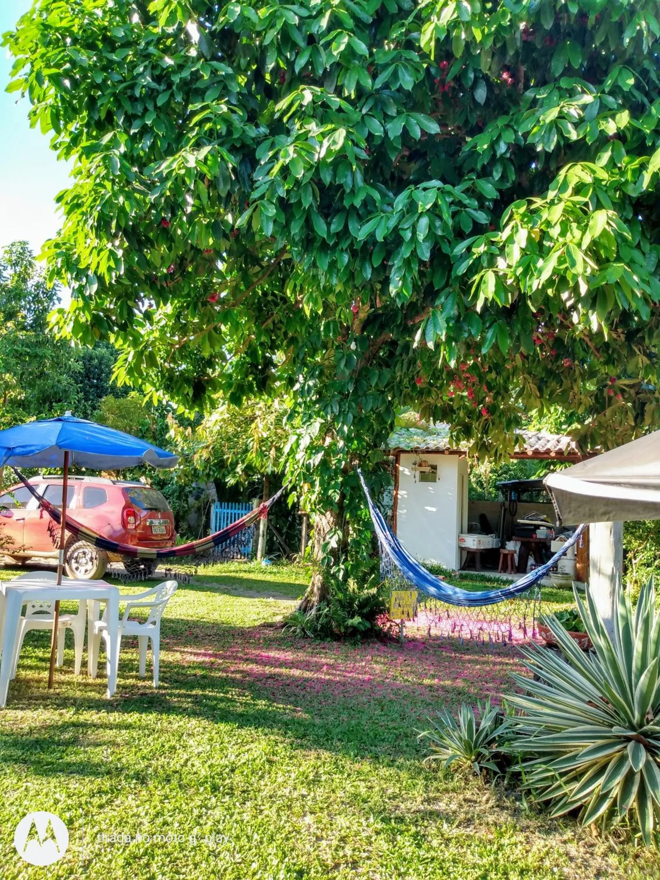 Garden view in Pousada Estrela do Mar