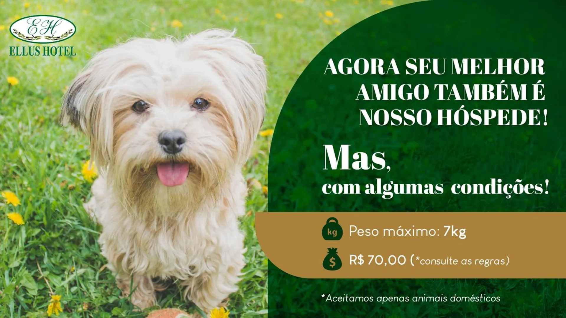 Other in Ellus Hotel