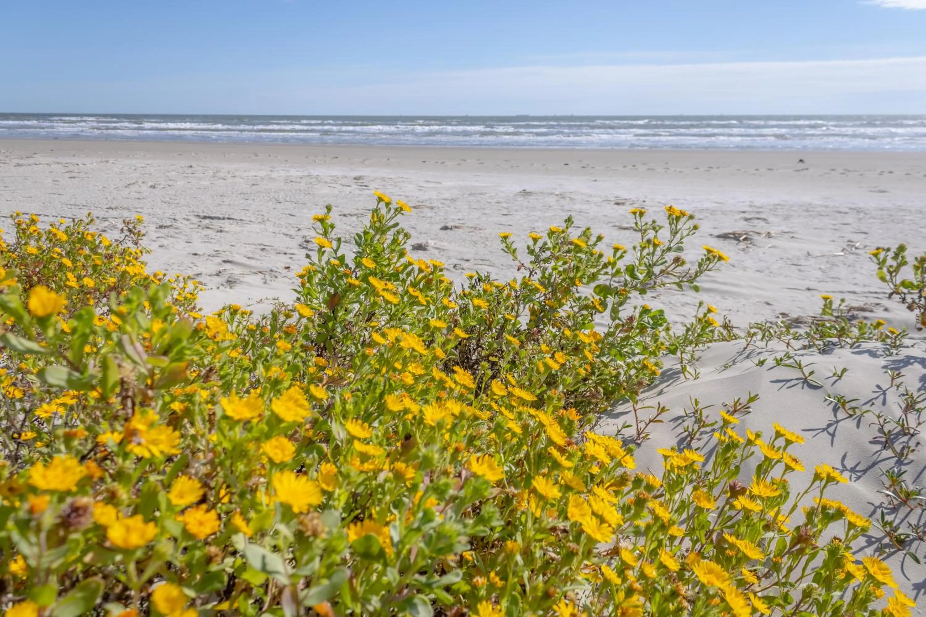 Property building in Islander East Condominiums