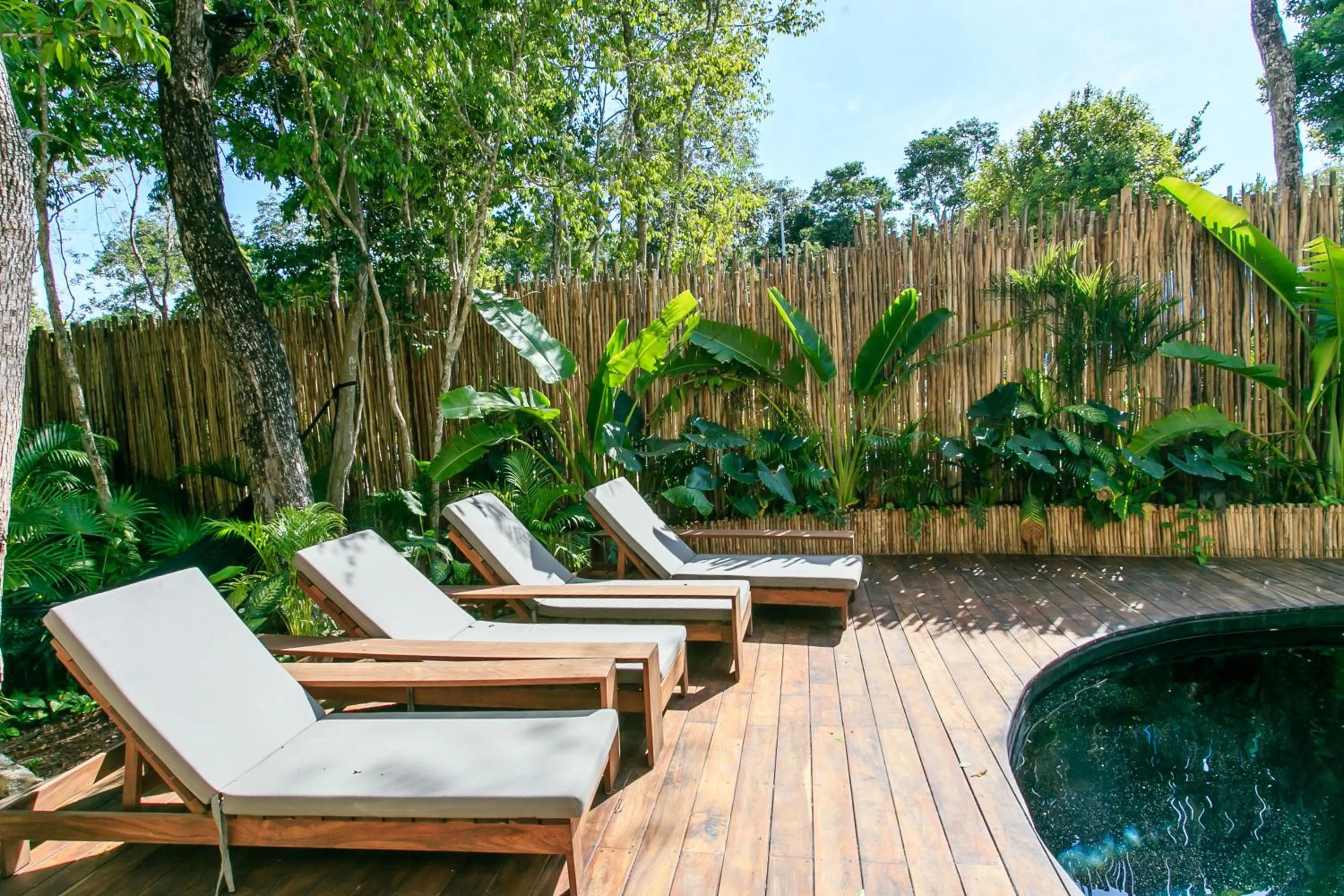 Swimming pool in Eco-chic Design Condos Wrapped in Nature's Elements by Stella Rentals