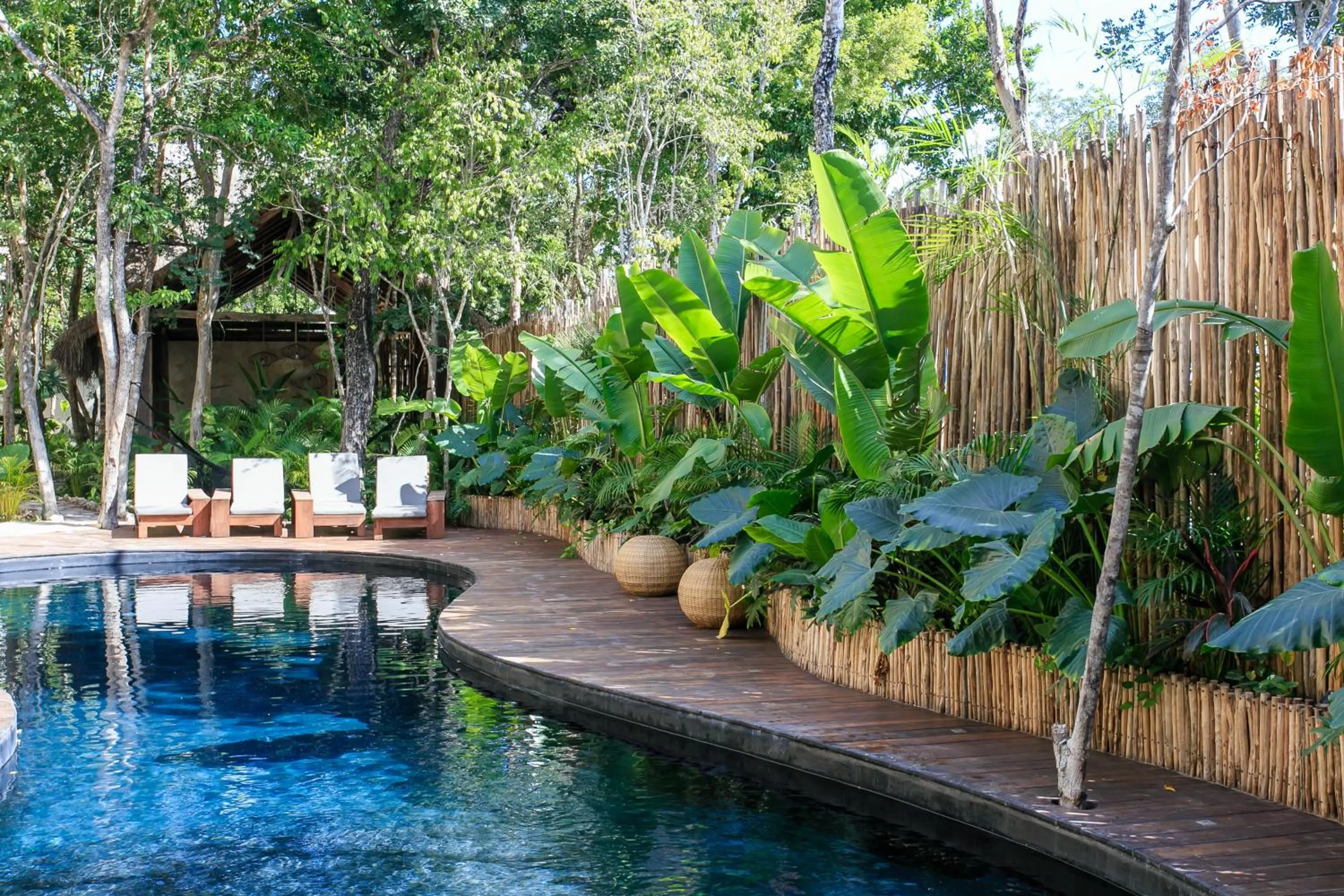 Swimming pool in Eco-chic Design Condos Wrapped in Nature's Elements by Stella Rentals