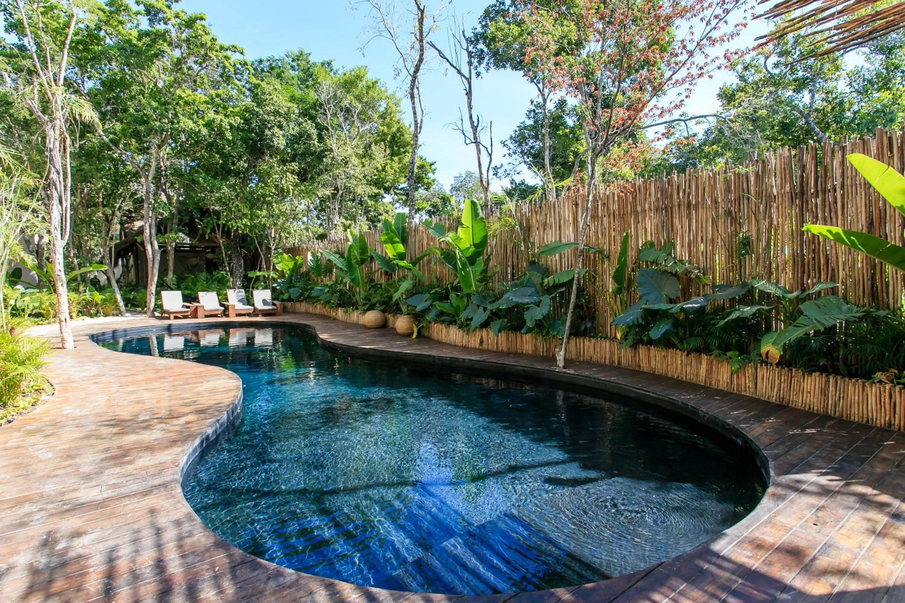Swimming pool in Eco-chic Design Condos Wrapped in Nature's Elements by Stella Rentals