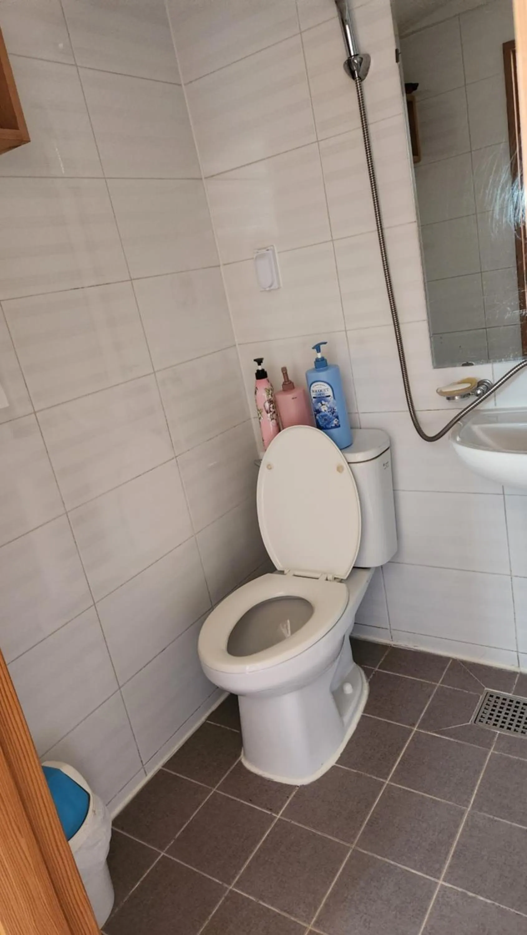 Toilet in Beautiful House