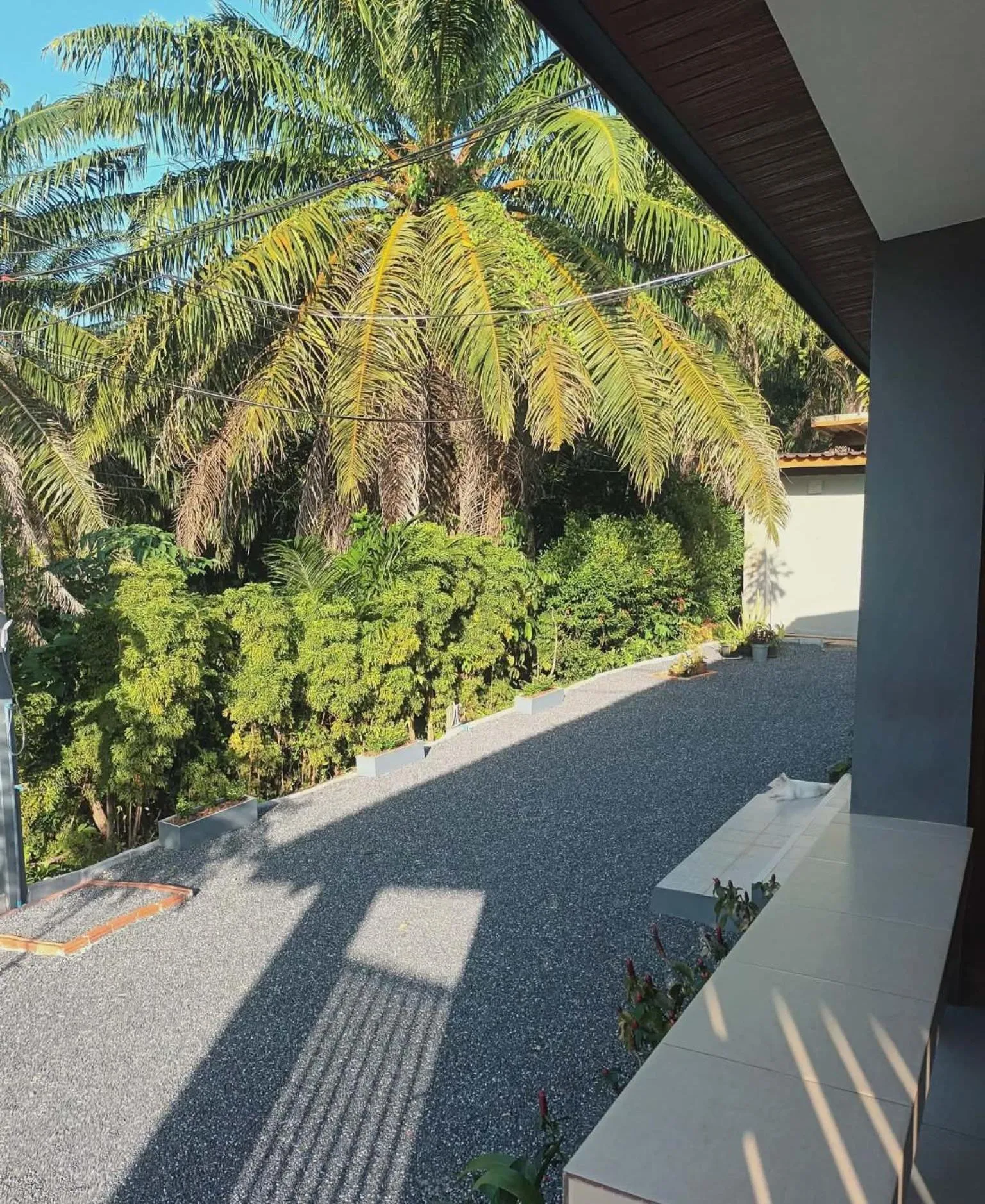 Natural landscape in BaanPhong Lanta