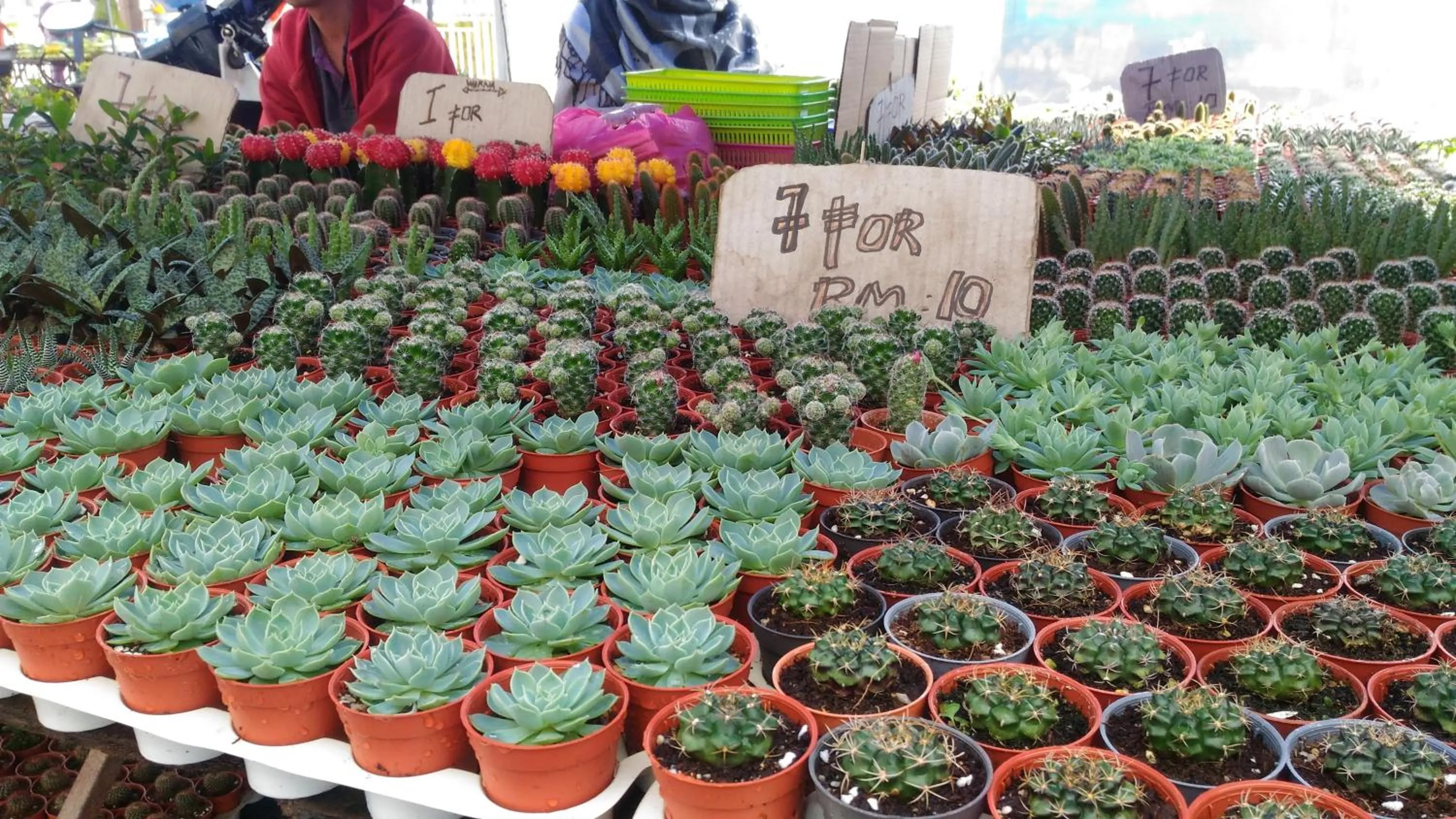 Entertainment in DreamScape Apartment @ Golden Hill