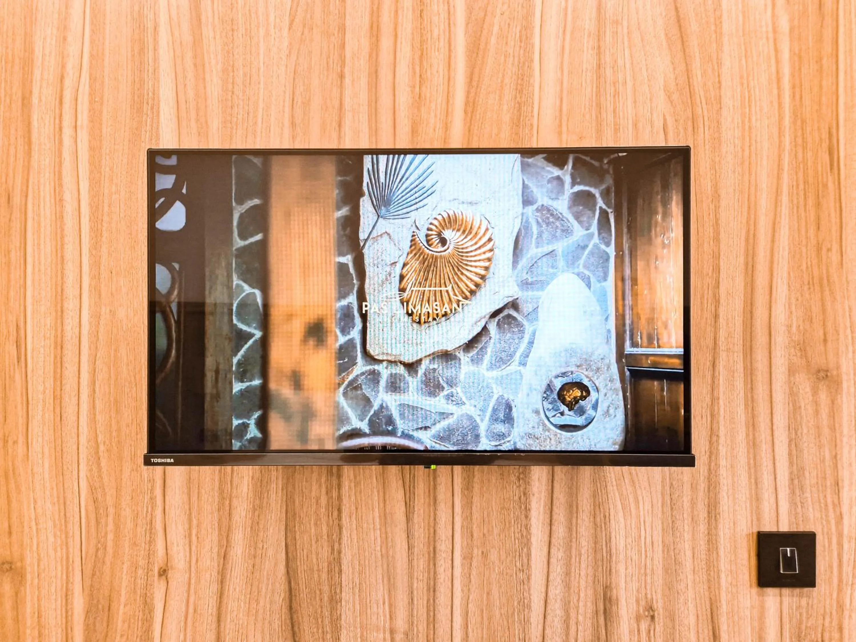 TV and multimedia in Pendhapa Art Space - PAS Limasan Homestay