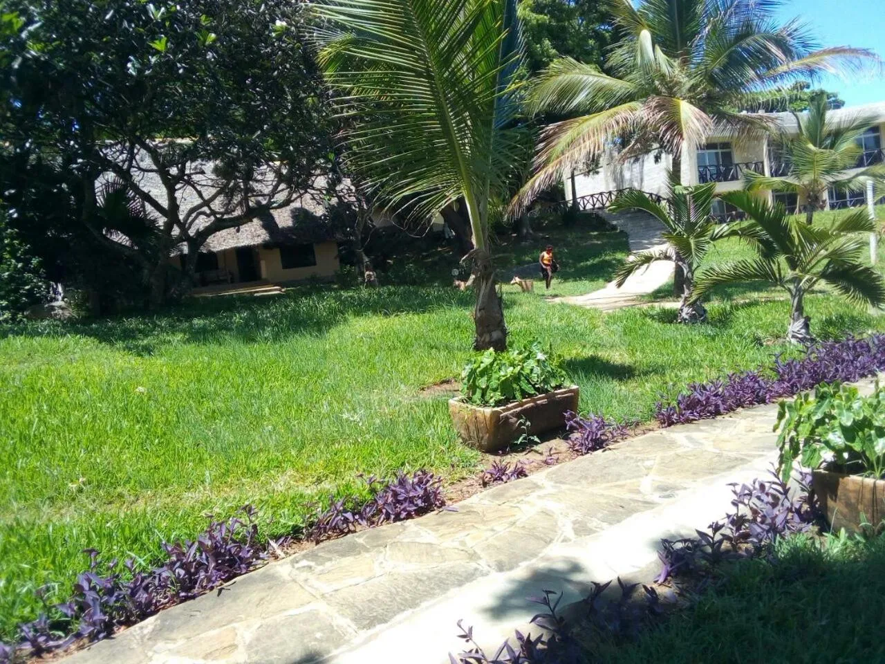 Garden in Coral Beach Resort