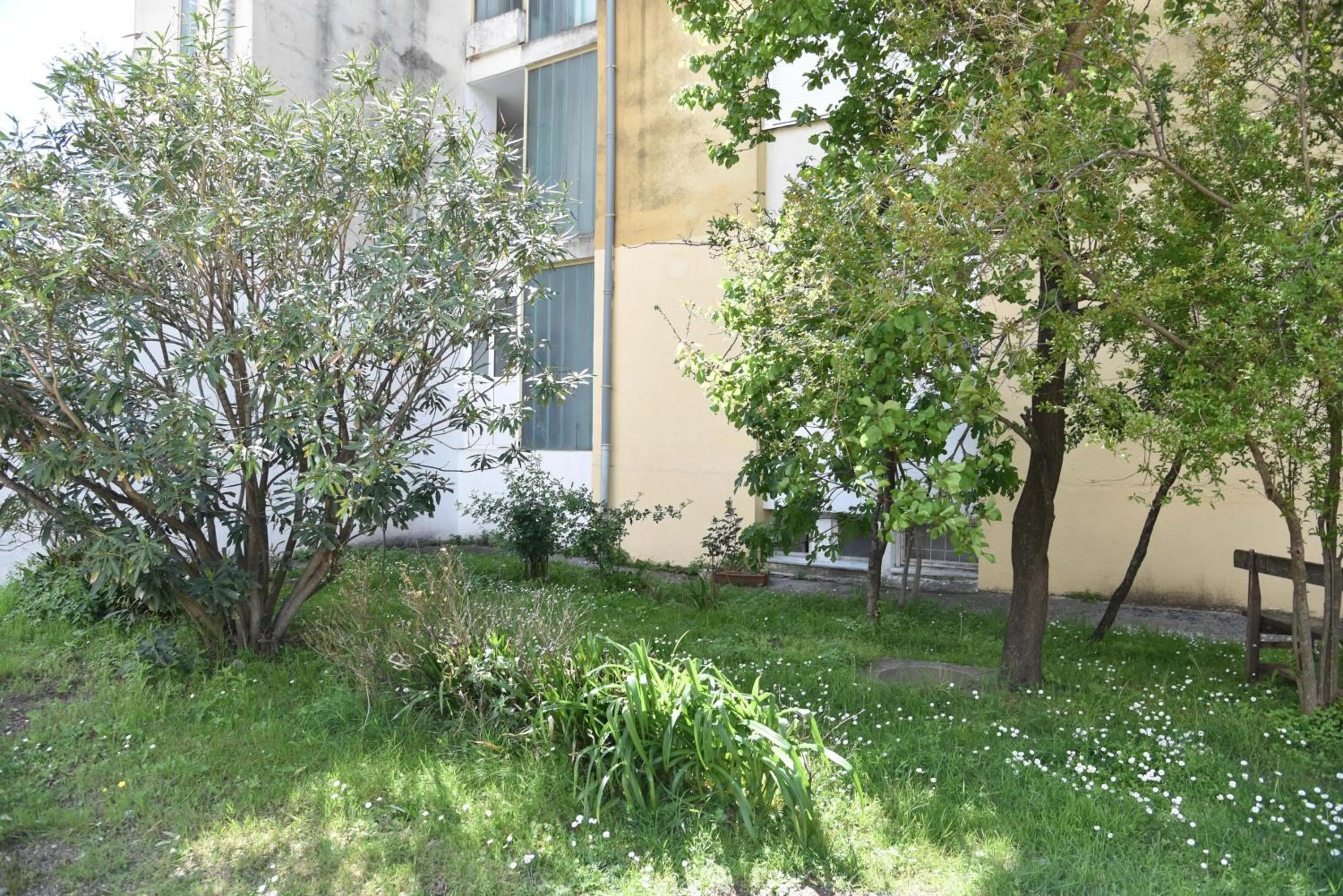 Property building in D&D Apartment 1