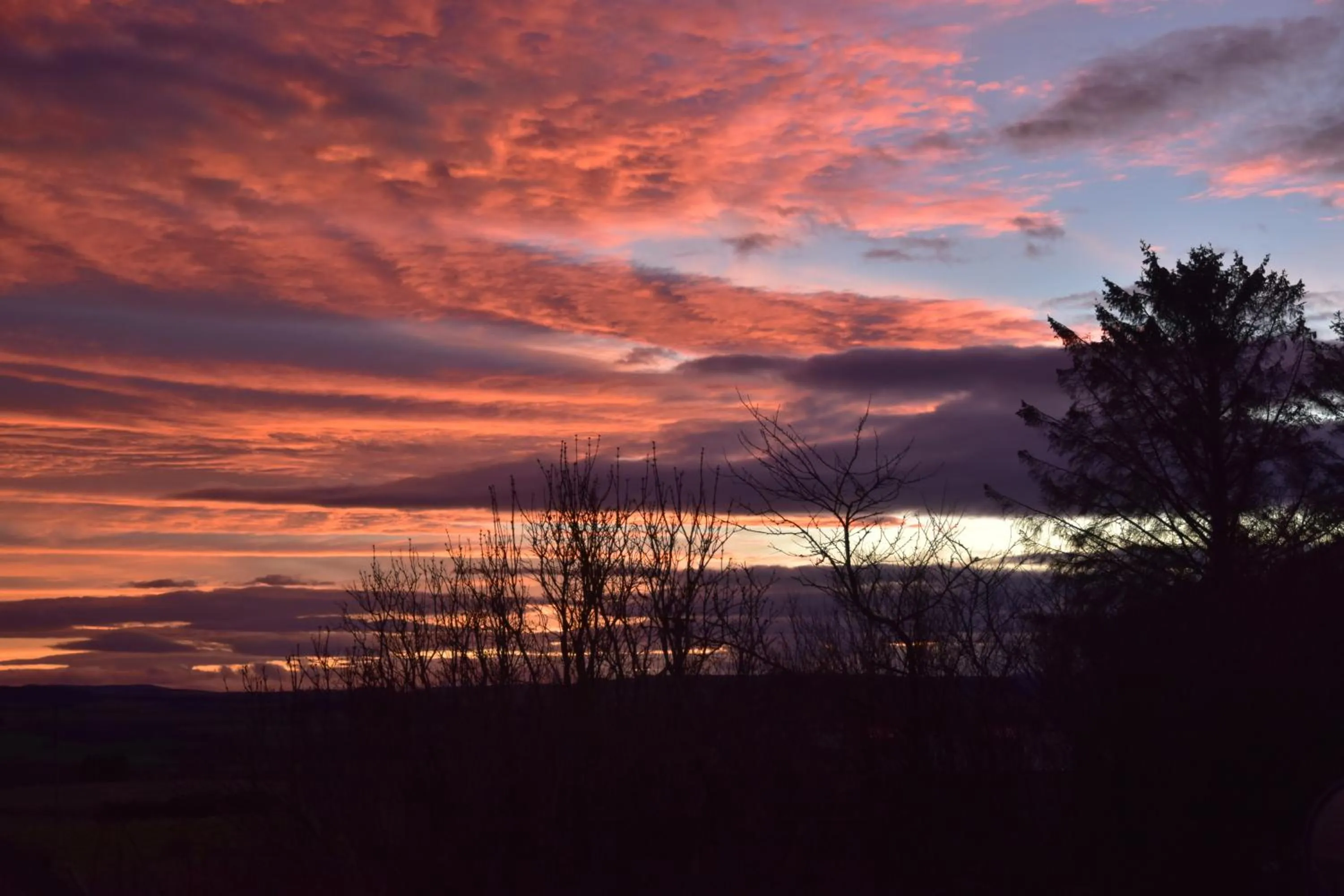 Sunset in Chapelhill Croft