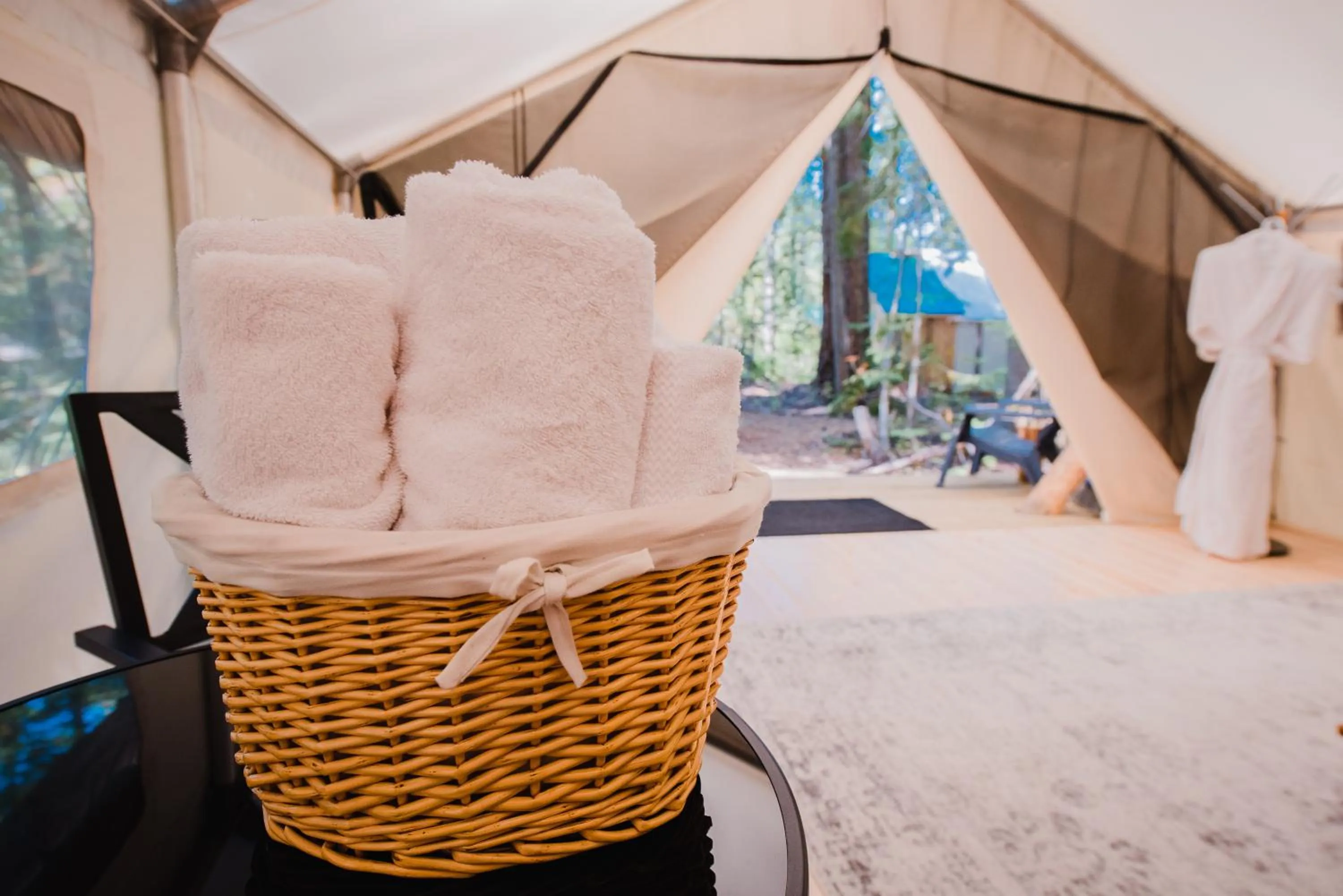 Cedar Haven Cabins and Resort