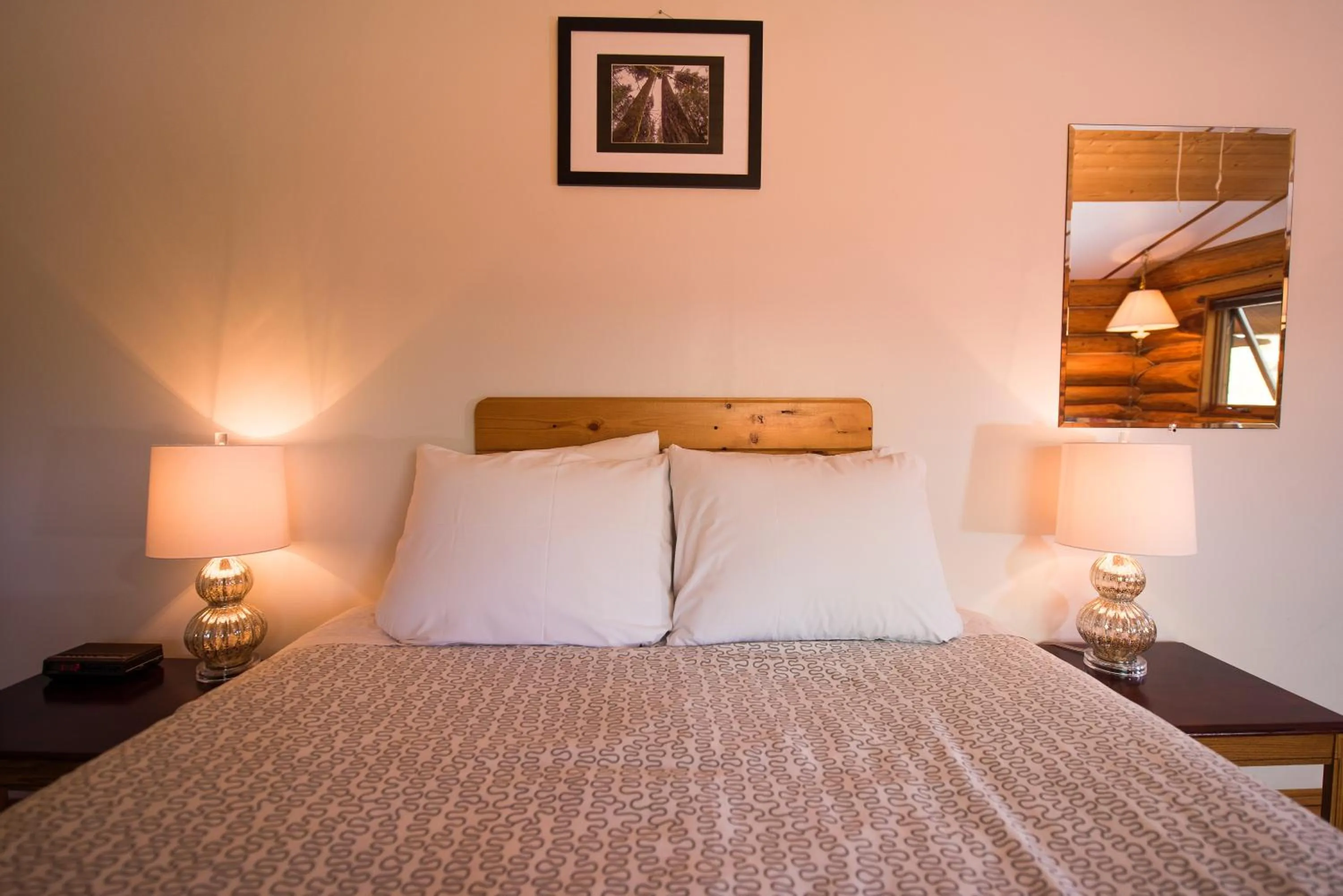 Cedar Haven Cabins and Resort