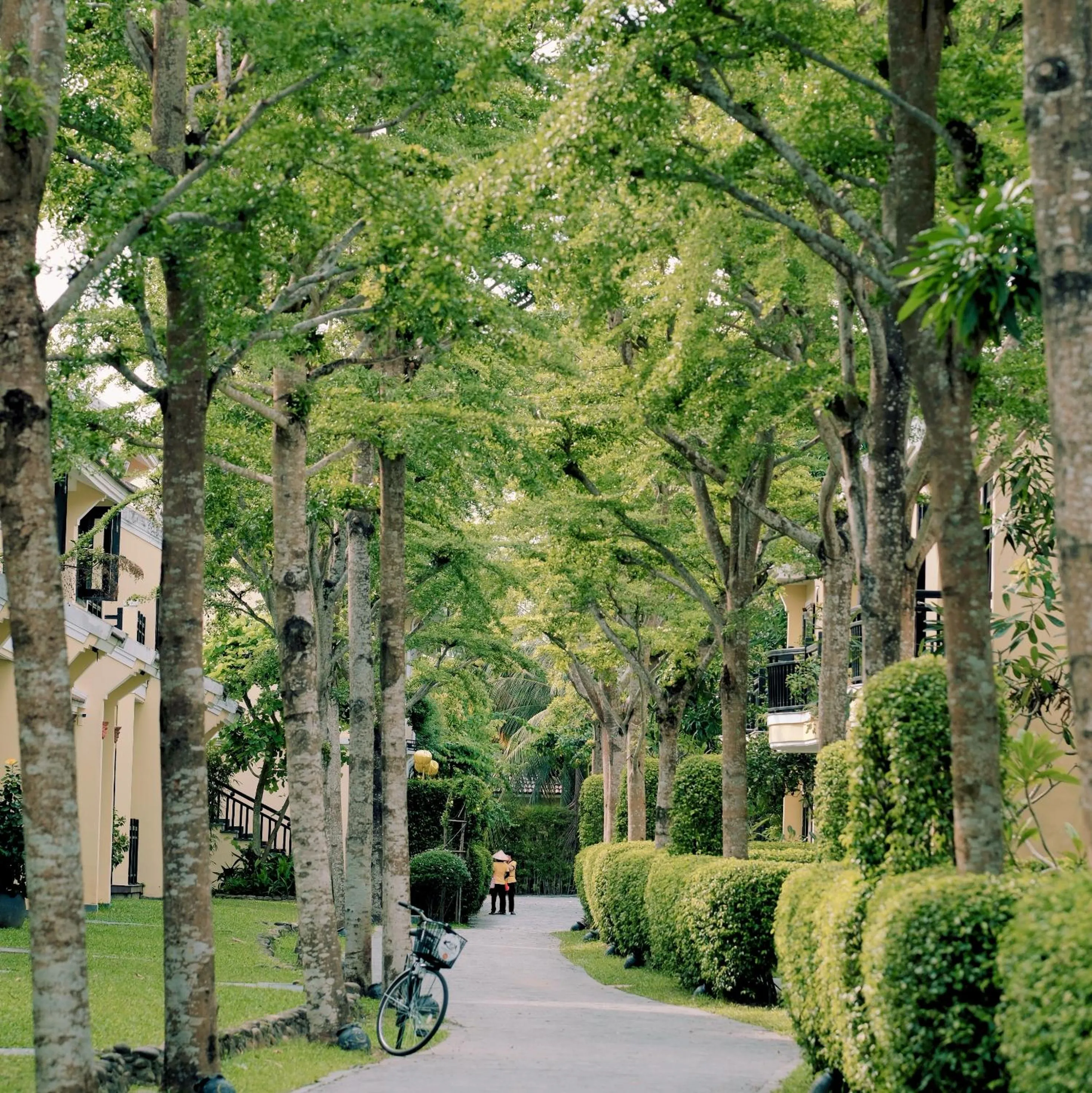 Garden in Koi Resort & Spa Hoi An