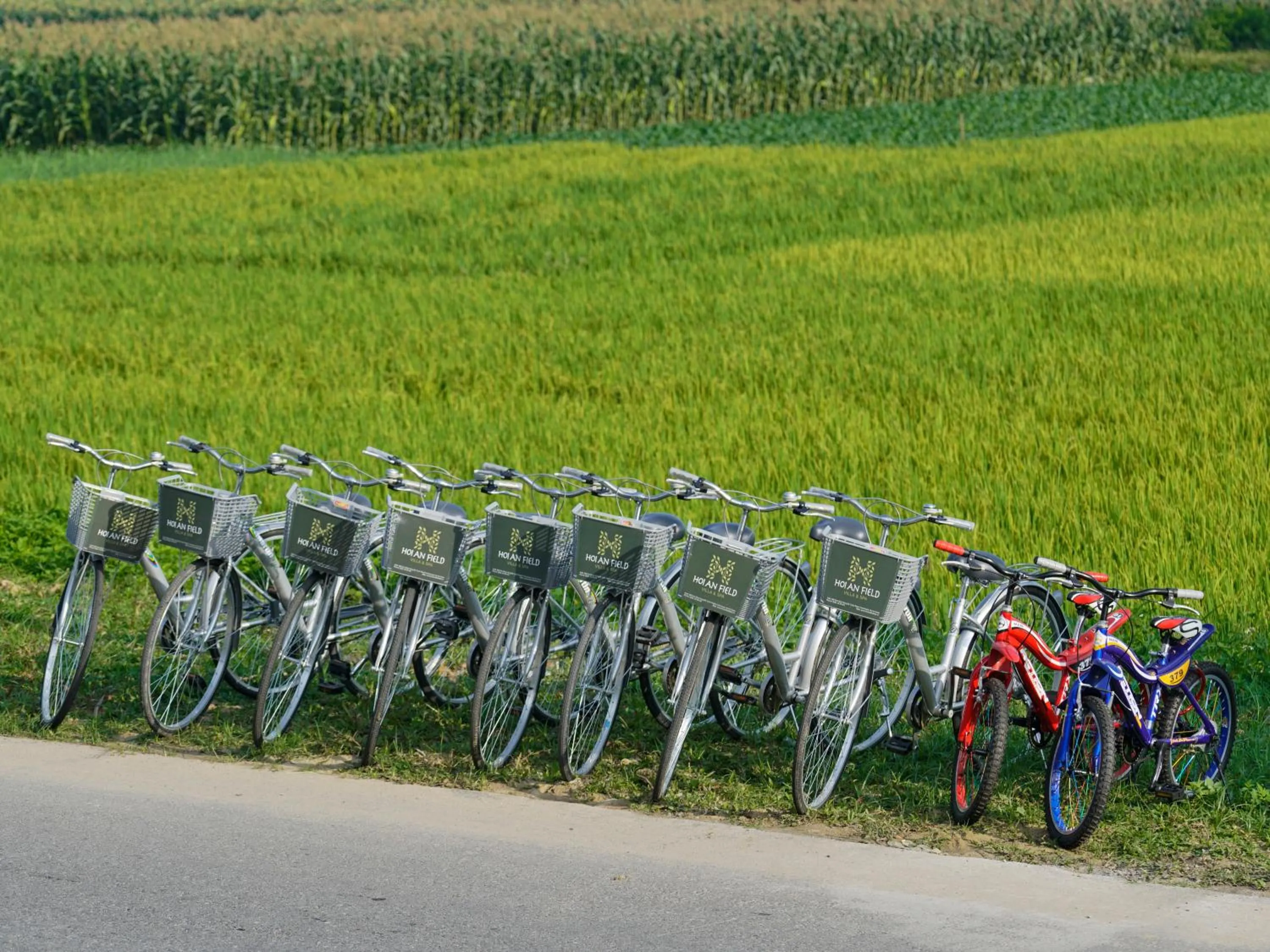 Activities in Hoi An Field Boutique Resort & Spa