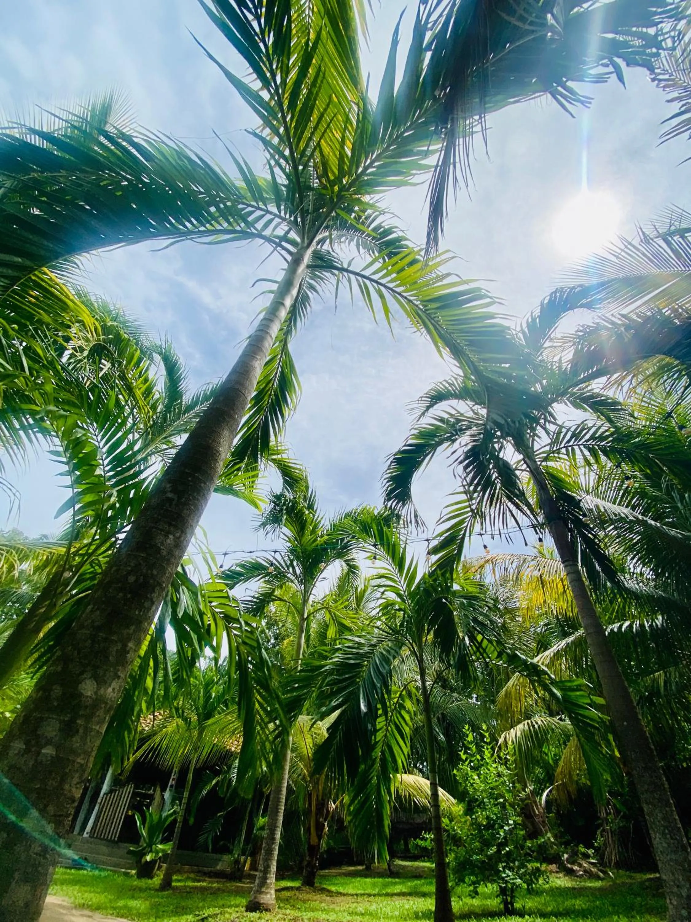 Neem Jay Beach Resort